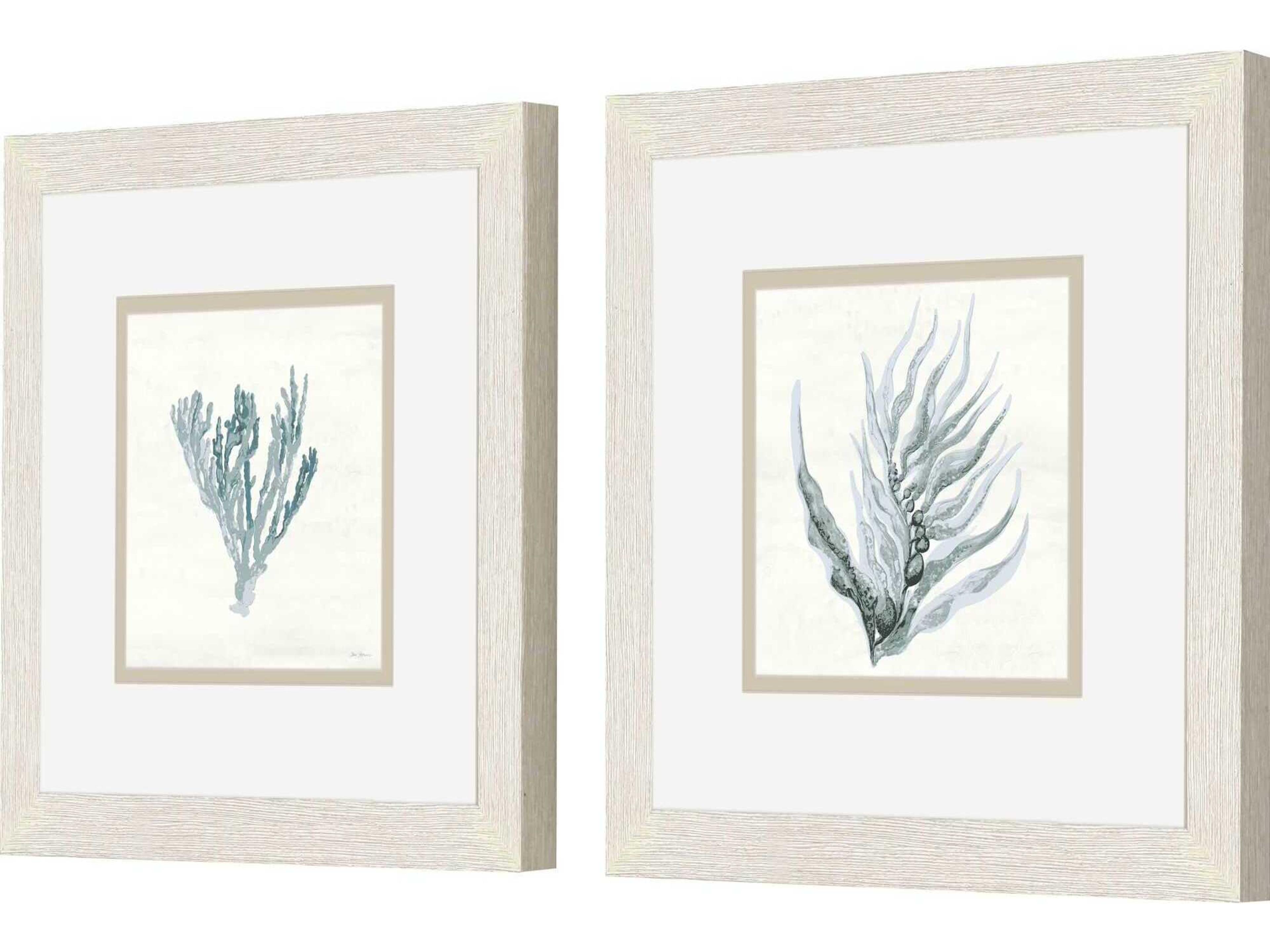Paragon Waterside Ocean Flora Wall Art Set of 2