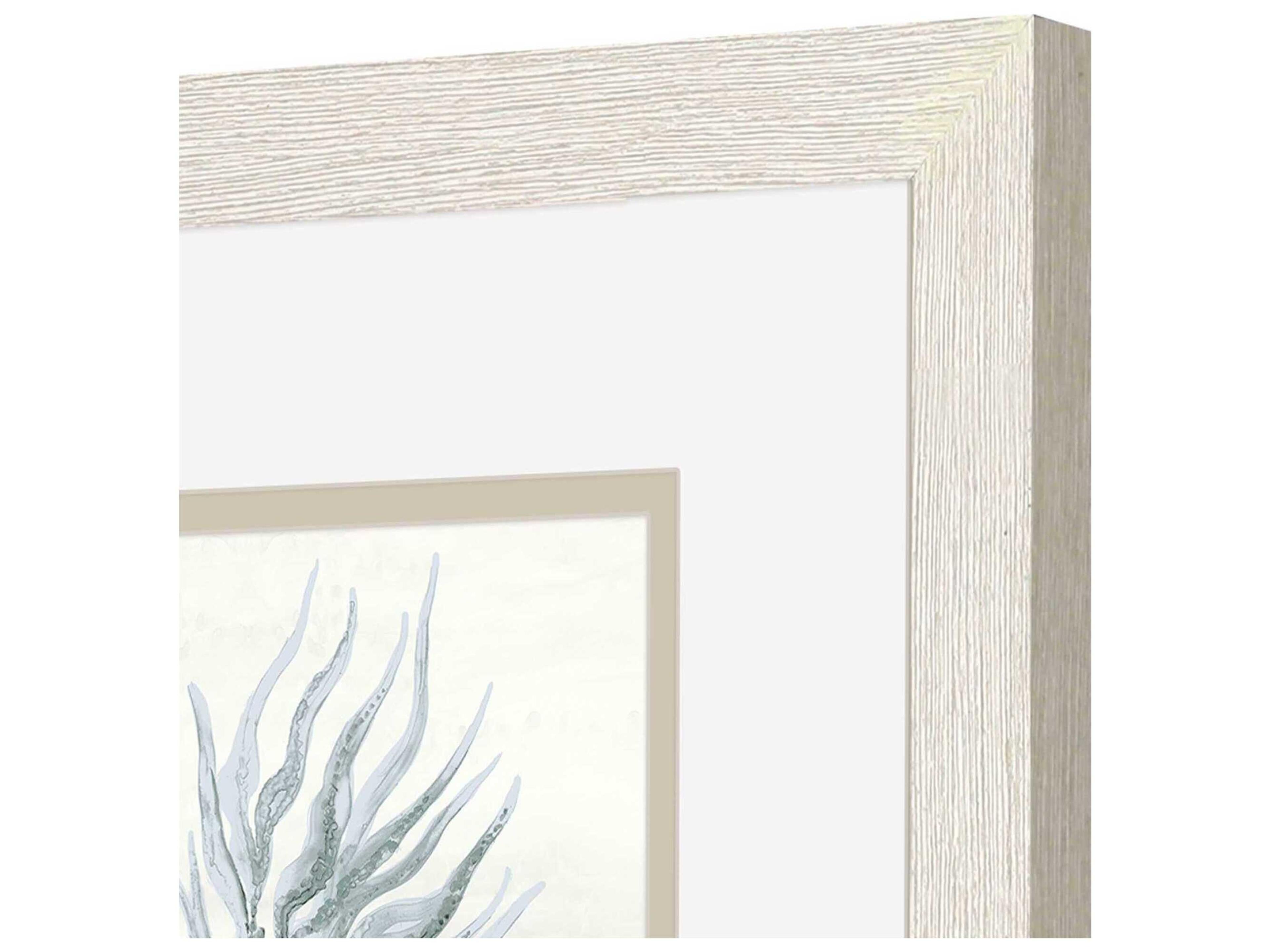 Paragon Waterside Ocean Flora Wall Art Set of 2