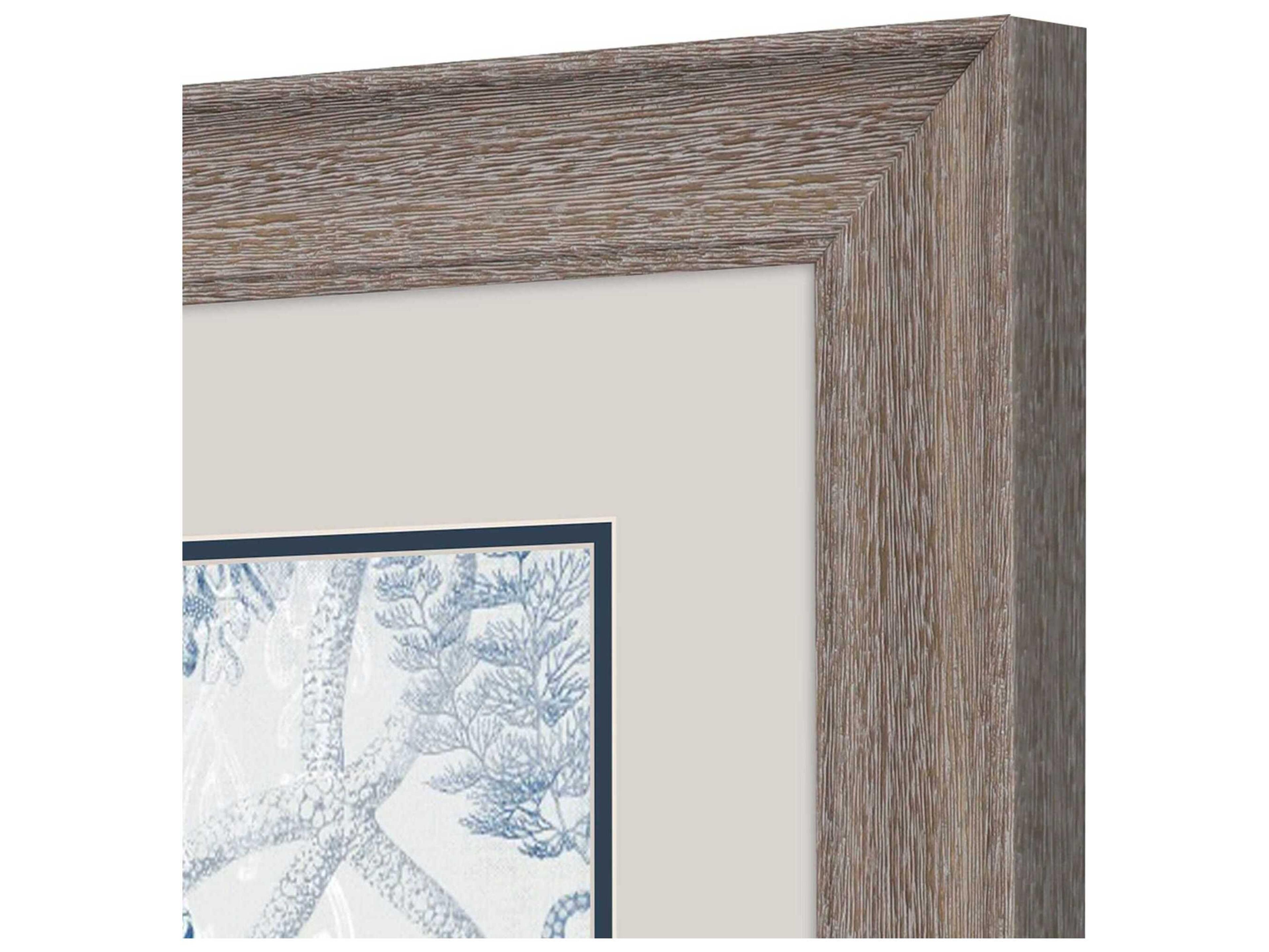 Paragon Animals Seabed Scene-B Wall Art Set of 2