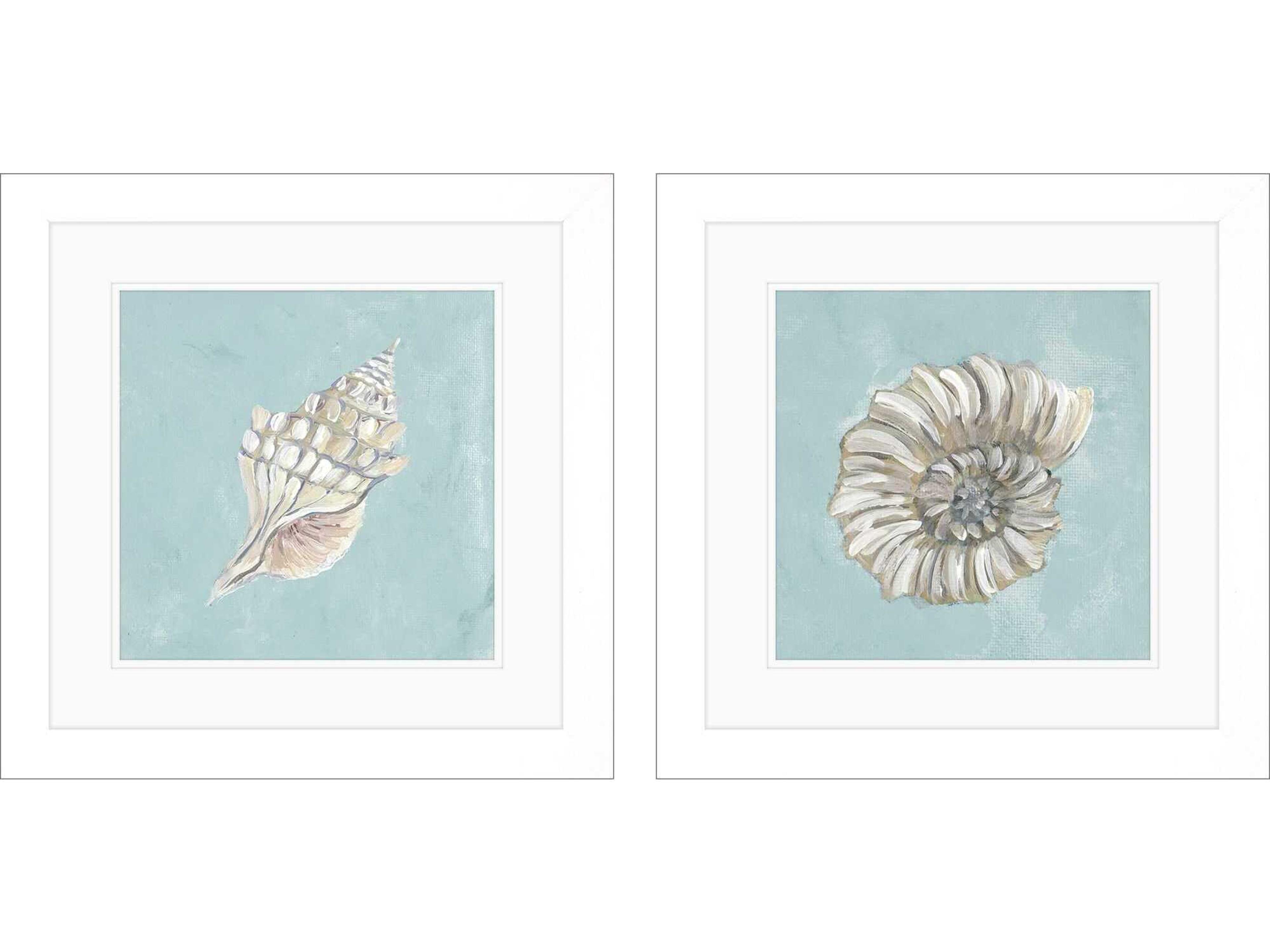 Waterside Seashell-A Wall Art Set of 2