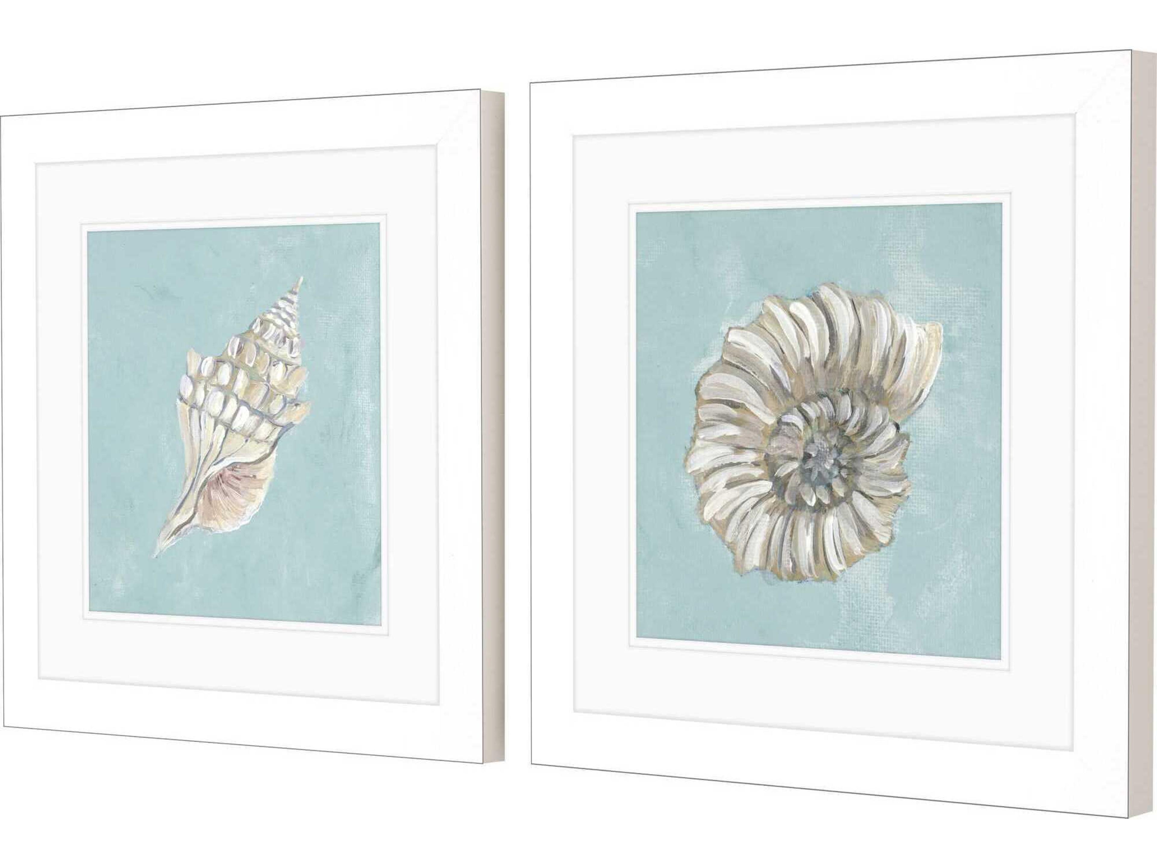 Paragon Waterside Seashell-A Wall Art Set of 2