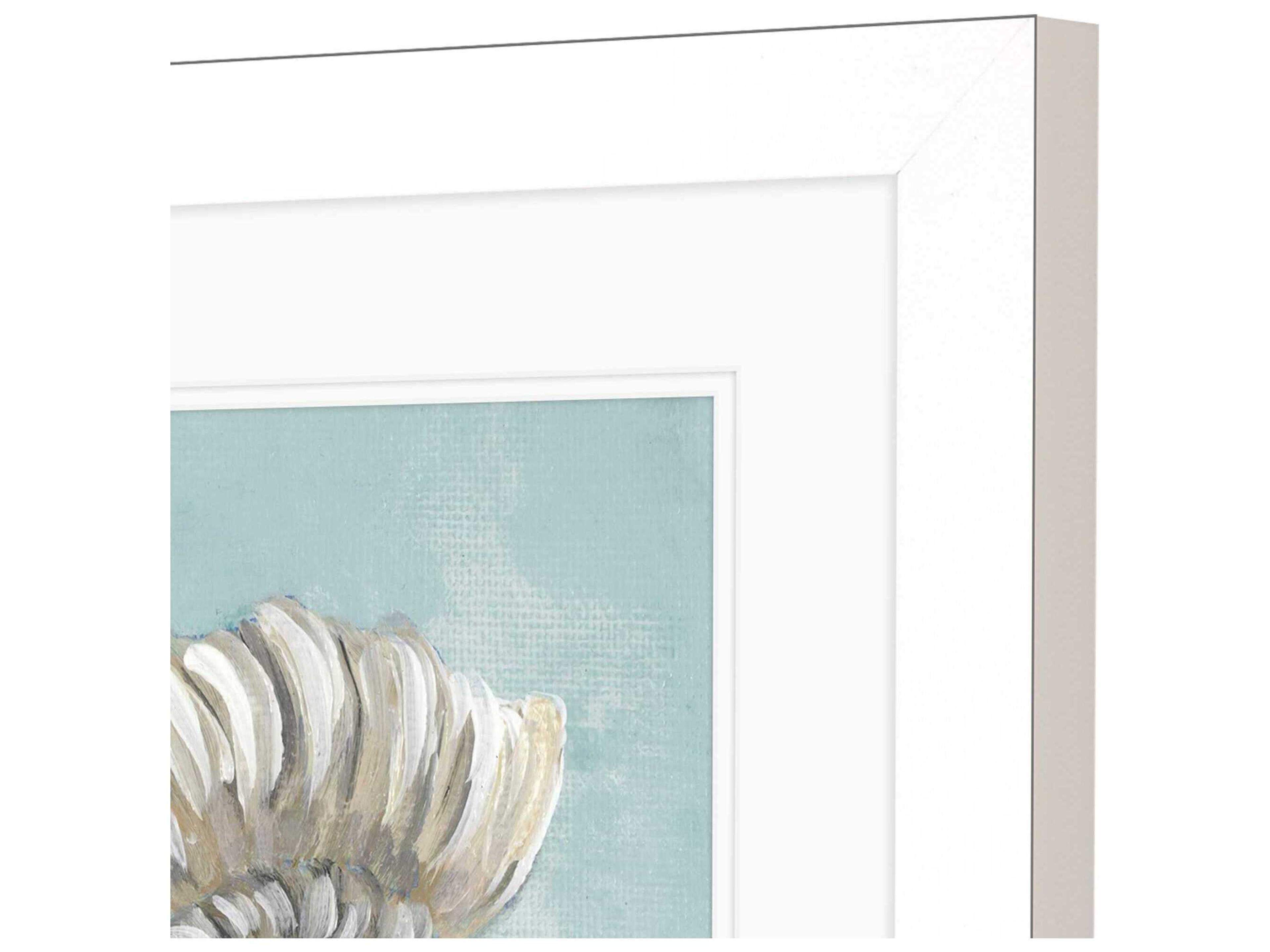 Paragon Waterside Seashell-A Wall Art Set of 2