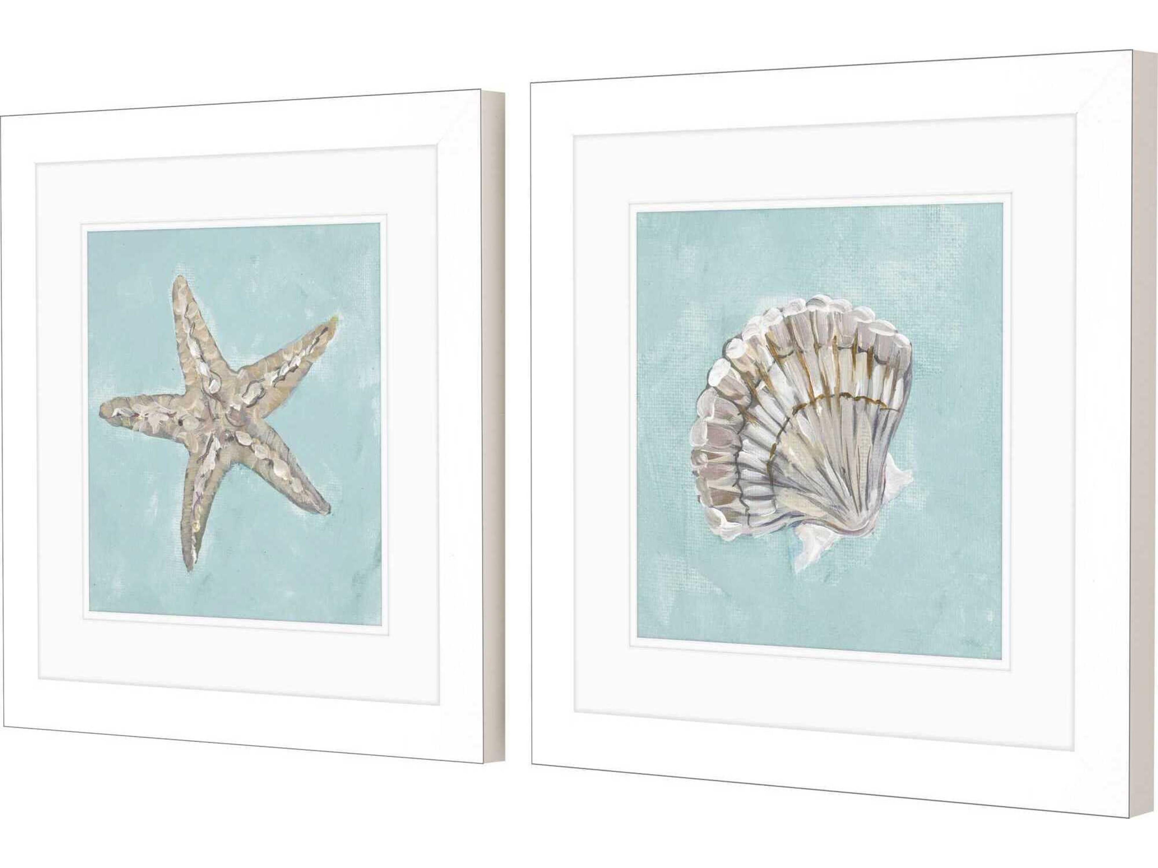 Paragon Waterside Seashell-B Wall Art Set of 2