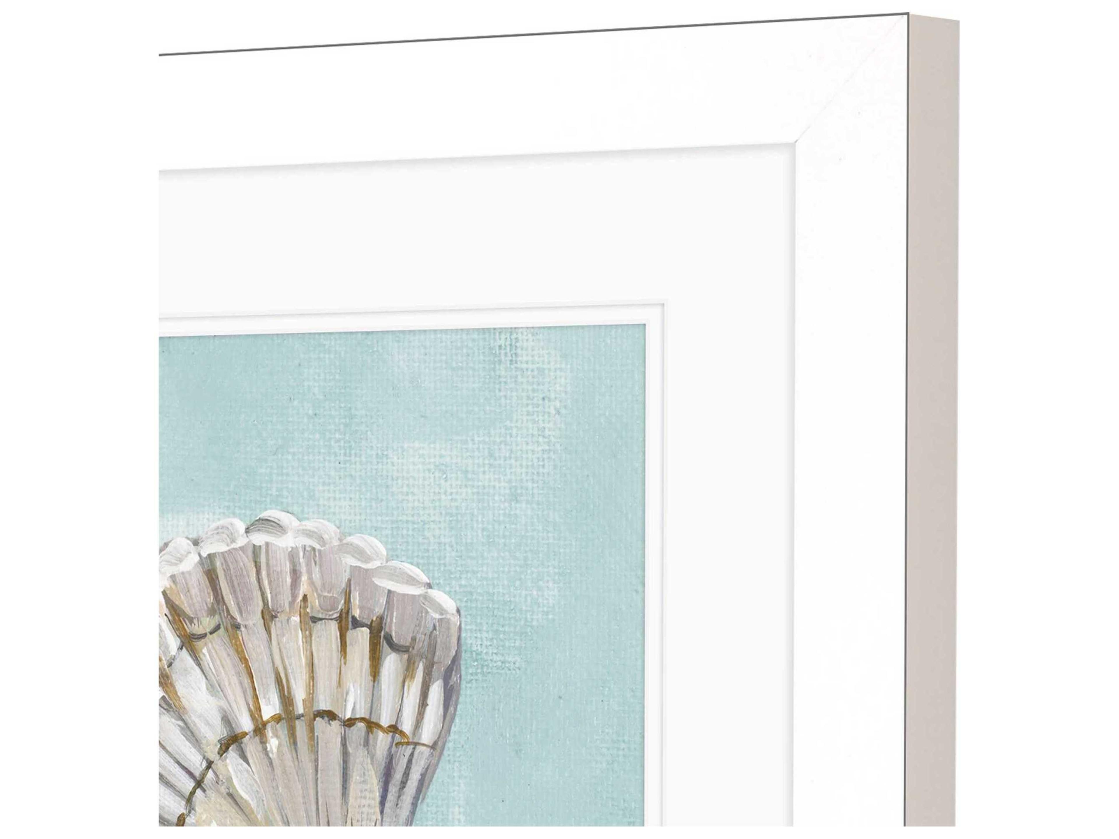 Paragon Waterside Seashell-B Wall Art Set of 2