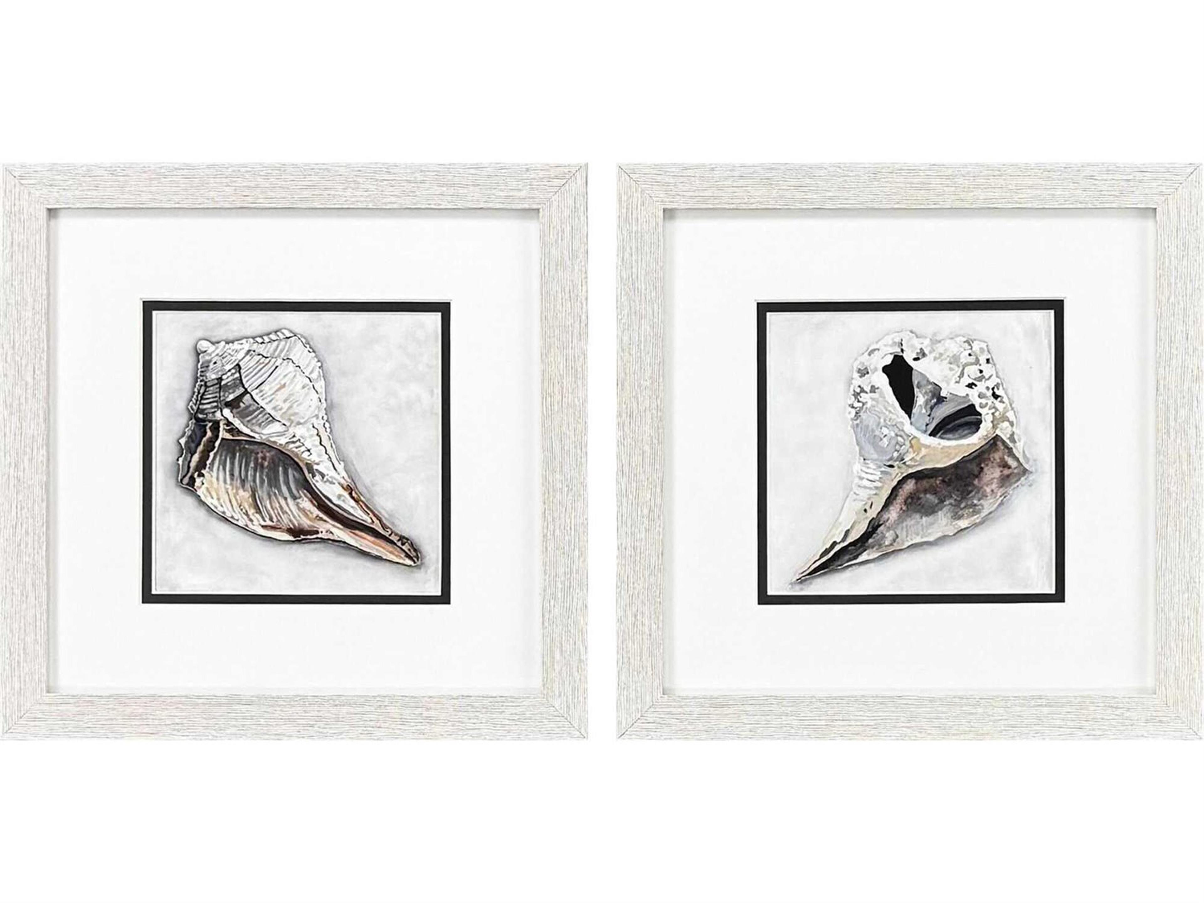 Waterside Ocean Treasure Wall Art Set of 2