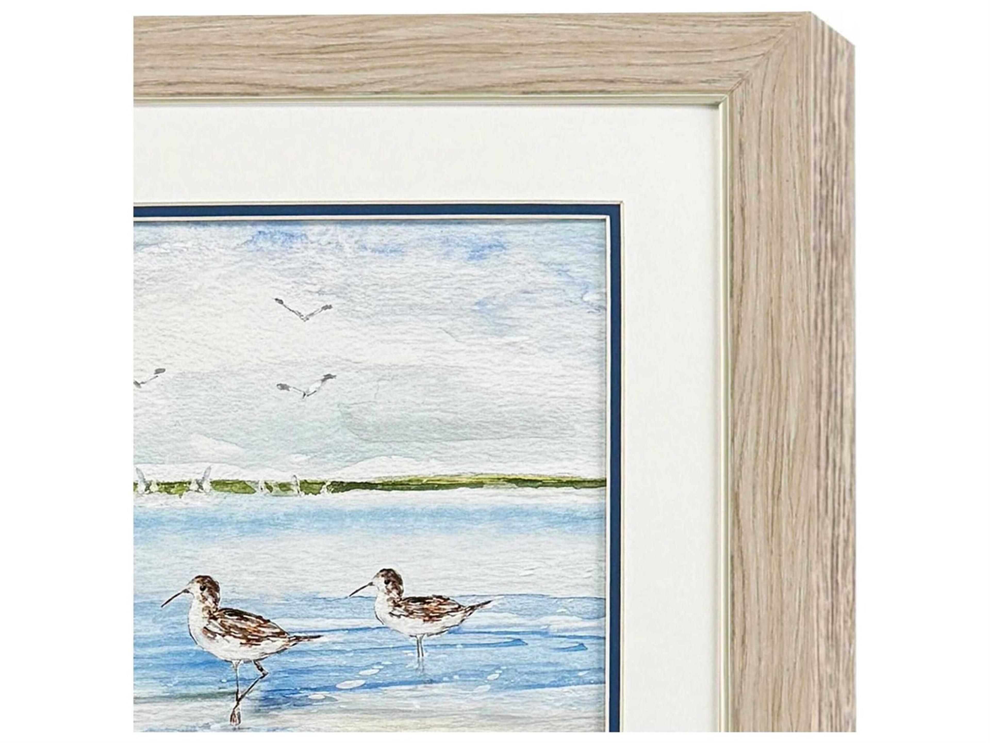 Paragon Animals Sandpiper Beach Wall Art Set of 2