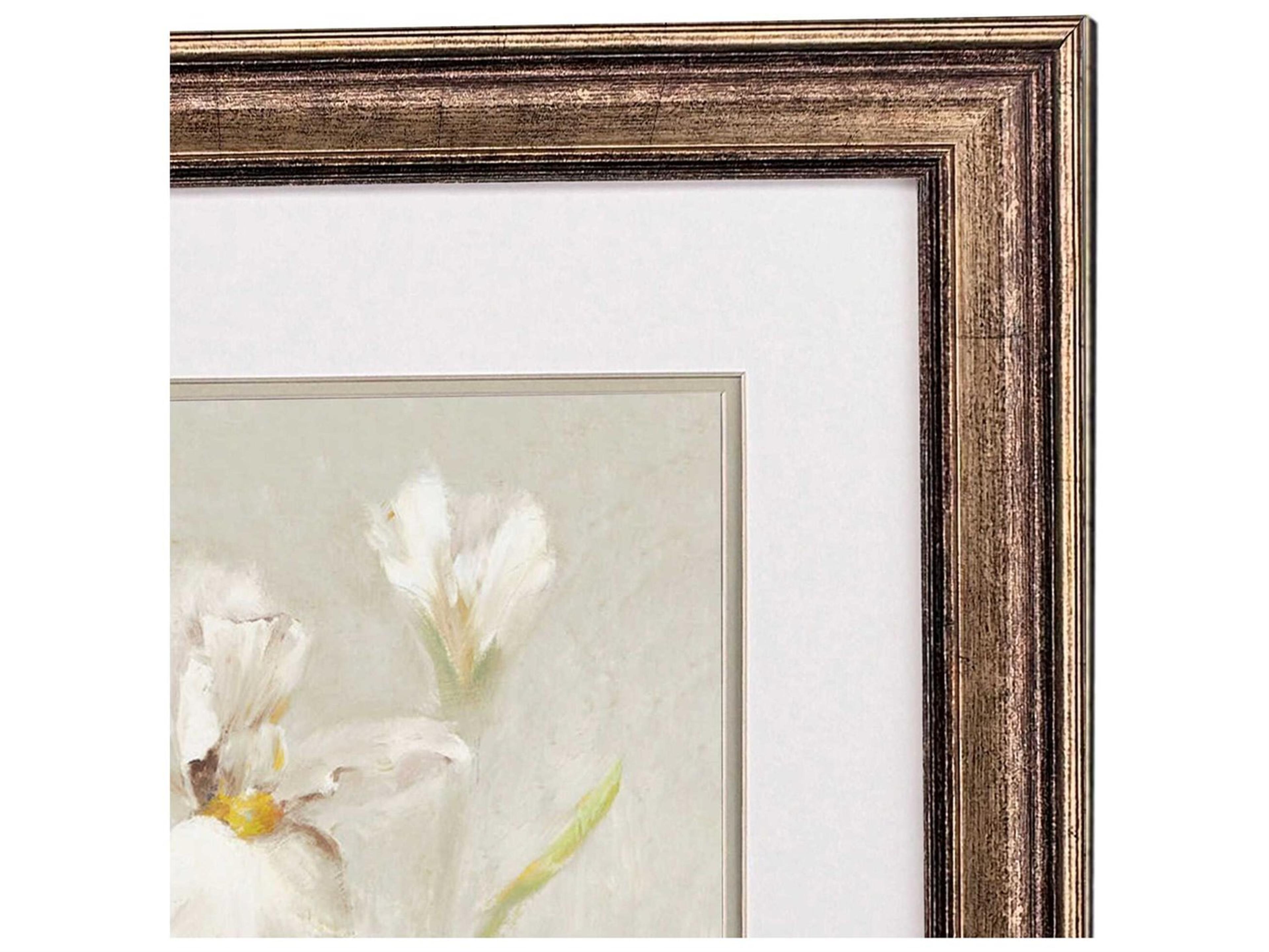 Paragon Florals Tulip & Iris Wall Art Set of 2