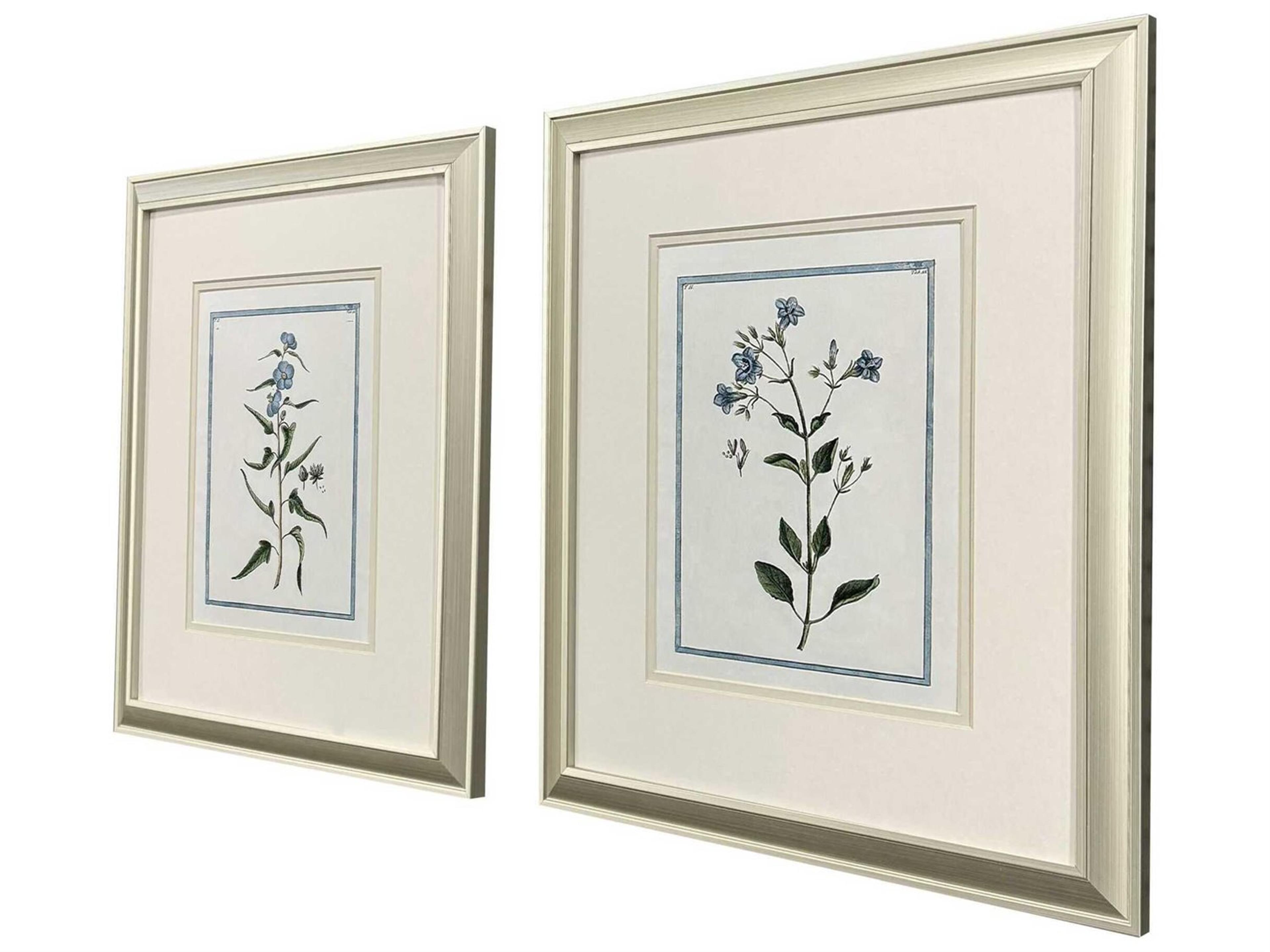 Paragon Florals Shabby Chic Botanical Wall Art Set of 2