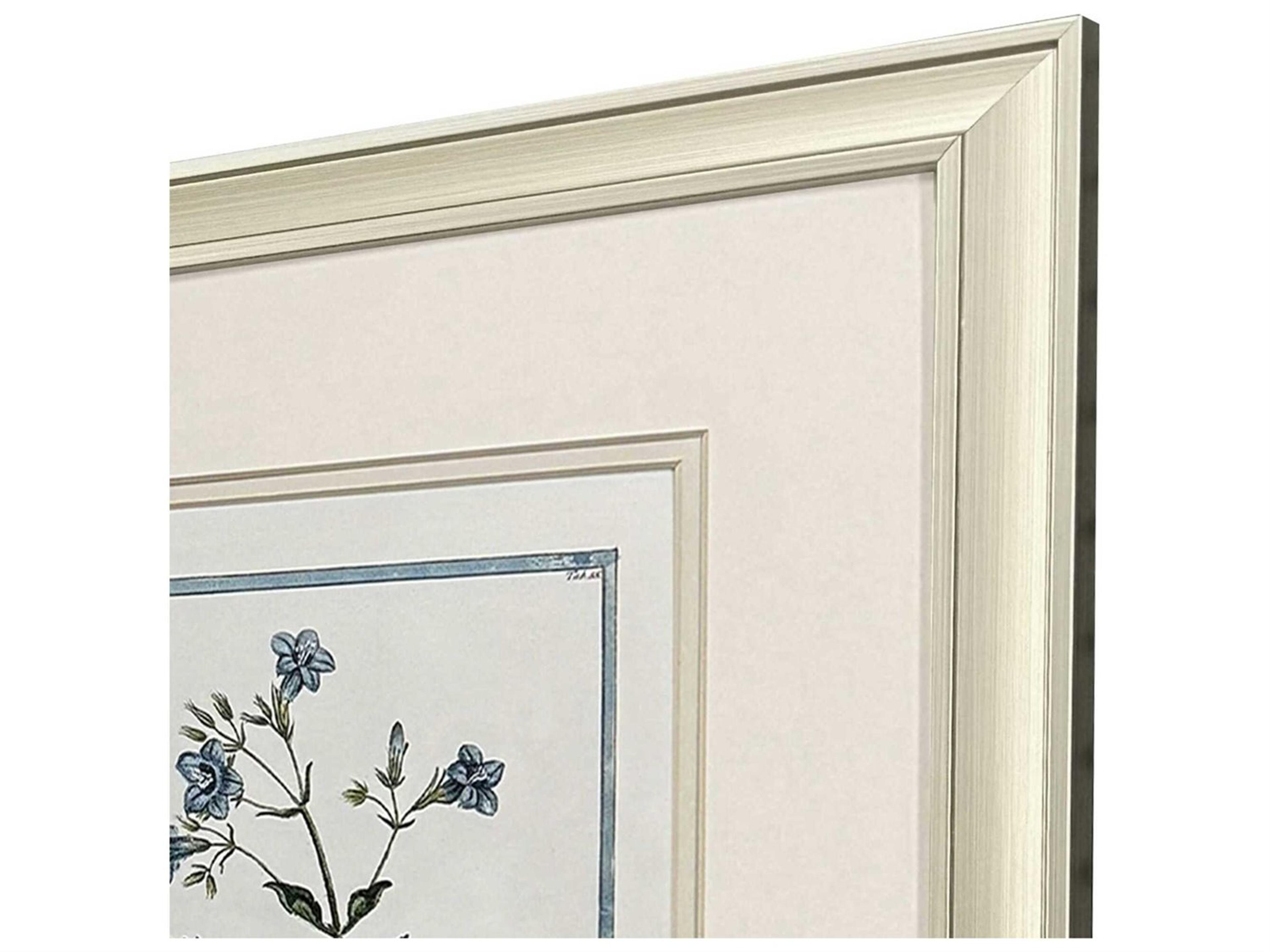Paragon Florals Shabby Chic Botanical Wall Art Set of 2
