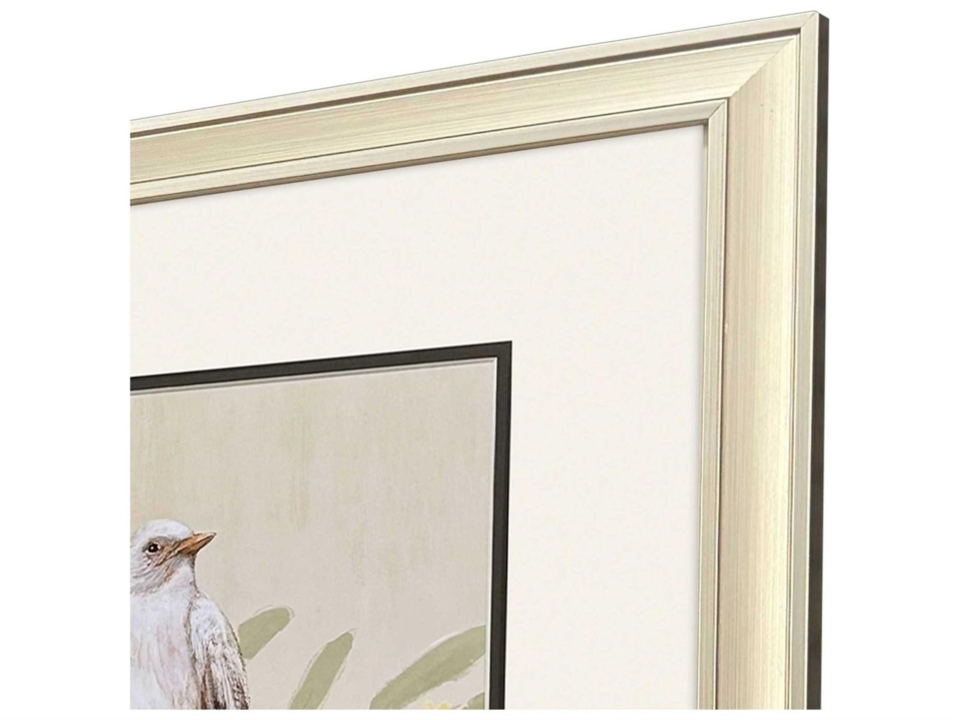 Paragon Animals Botanical Birds Wall Art Set of 2