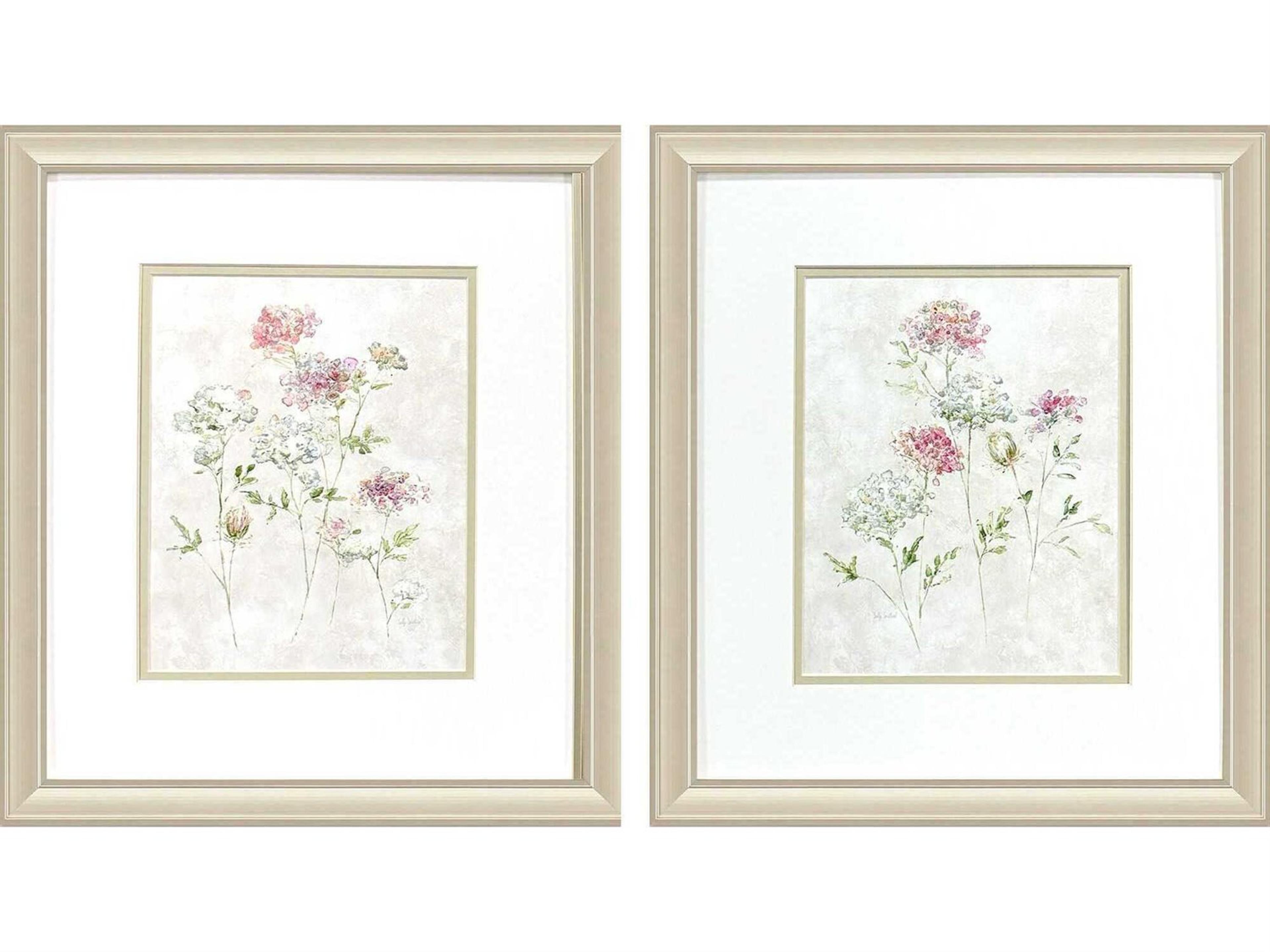 Paragon Florals Soft Lace Wall Art Set of 2