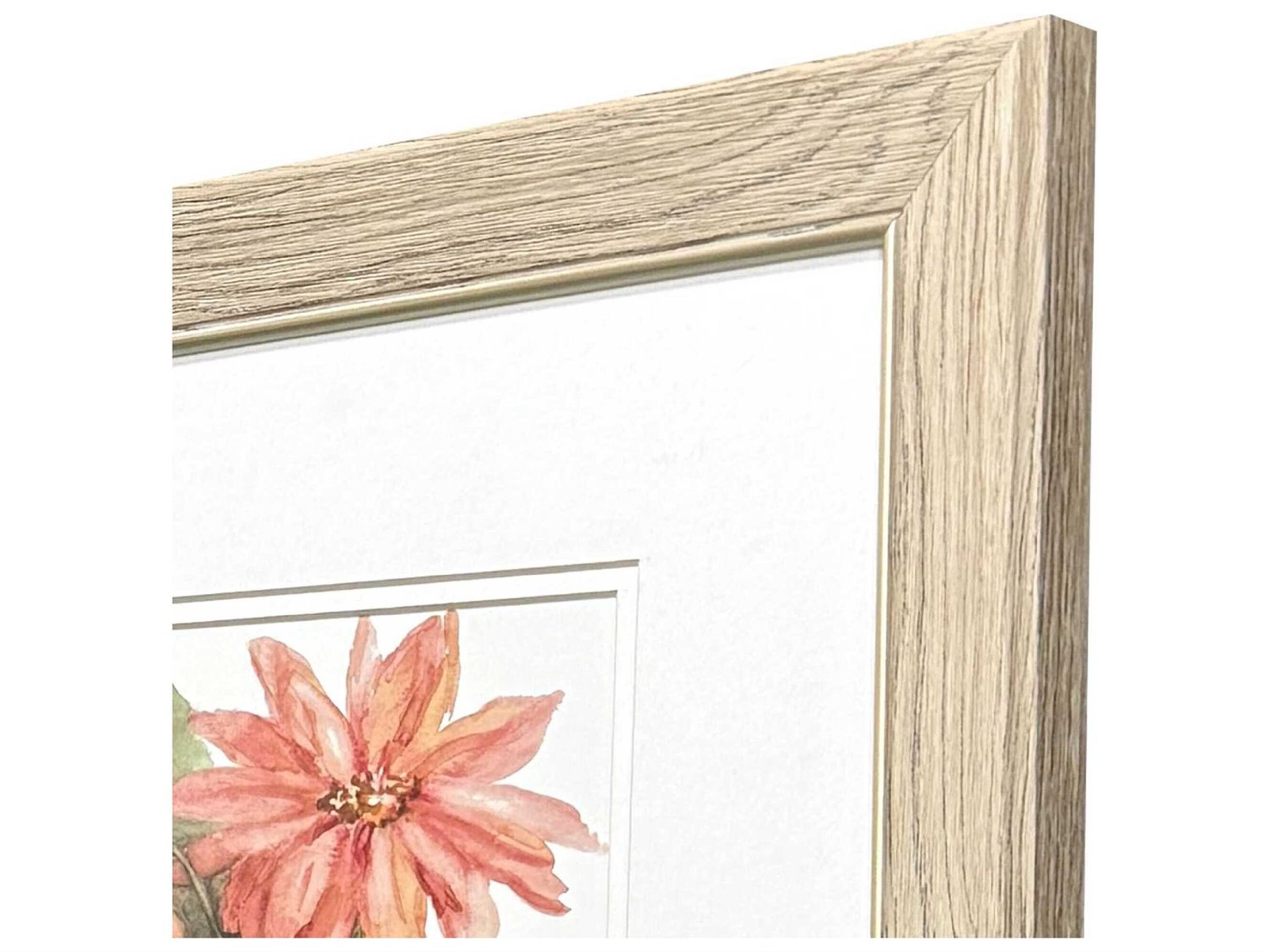 Paragon Florals Just Peachy Wall Art Set of 2