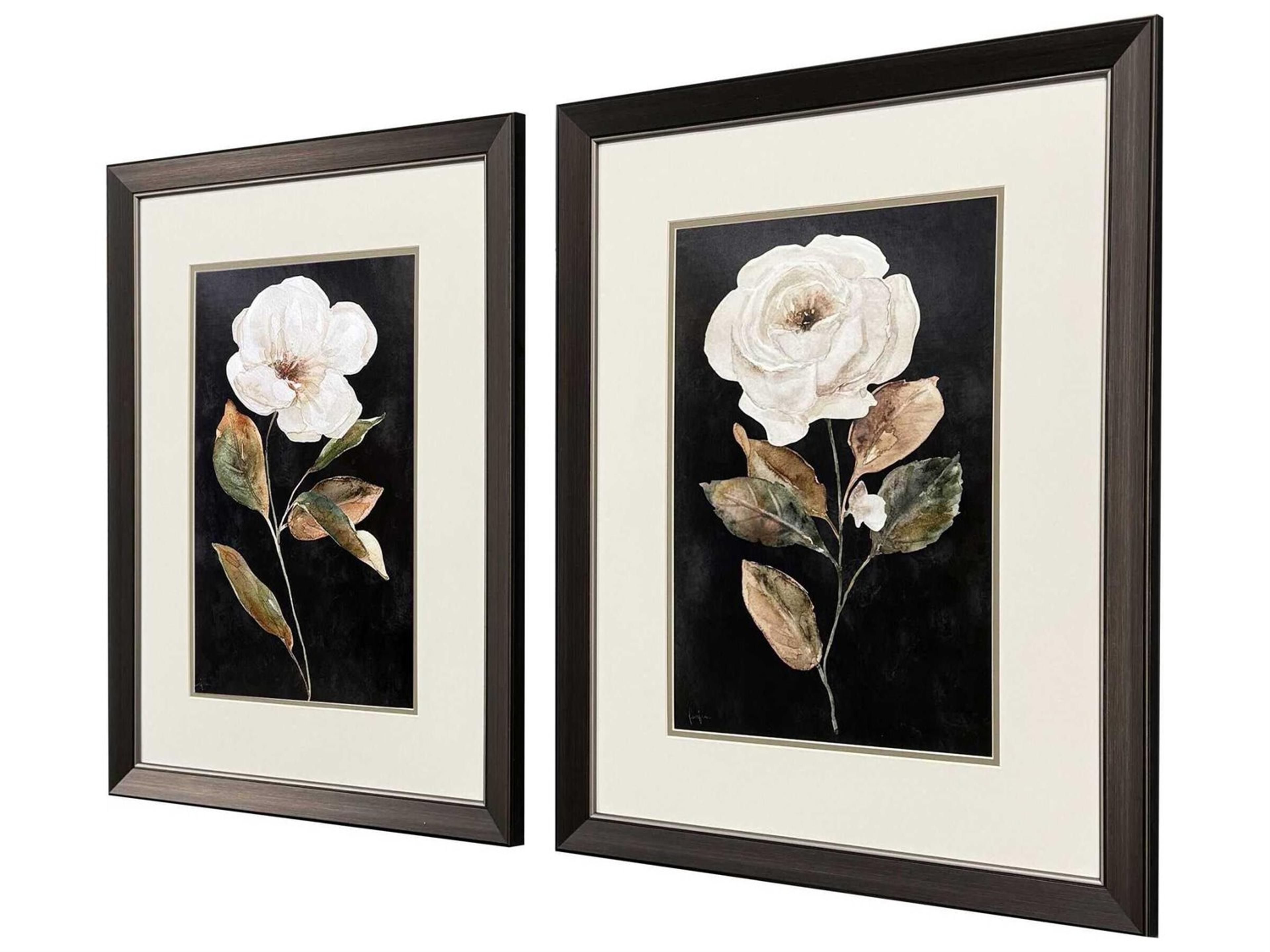 Paragon Florals Botanical on Black Wall Art Set of 2