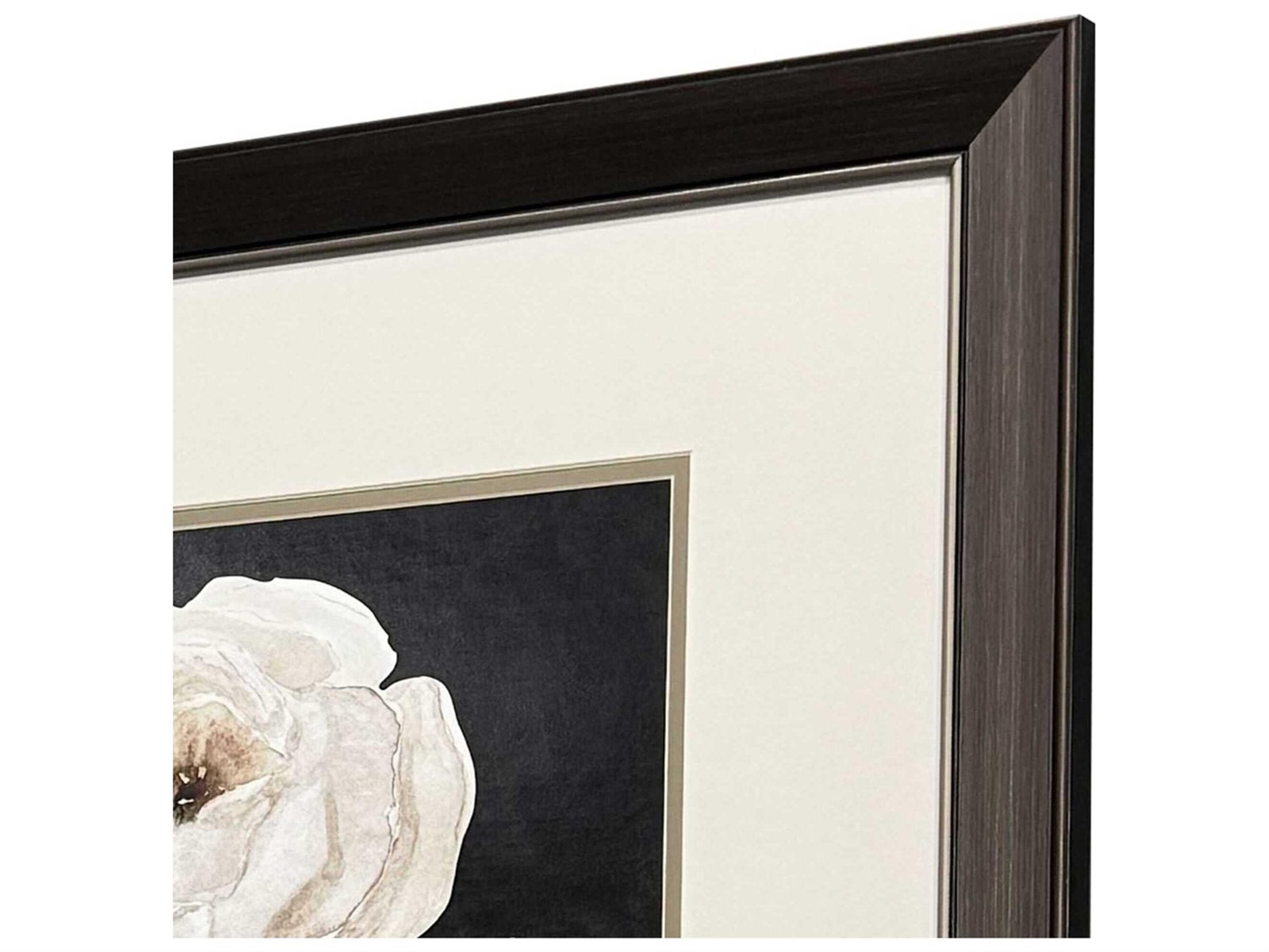 Paragon Florals Botanical on Black Wall Art Set of 2