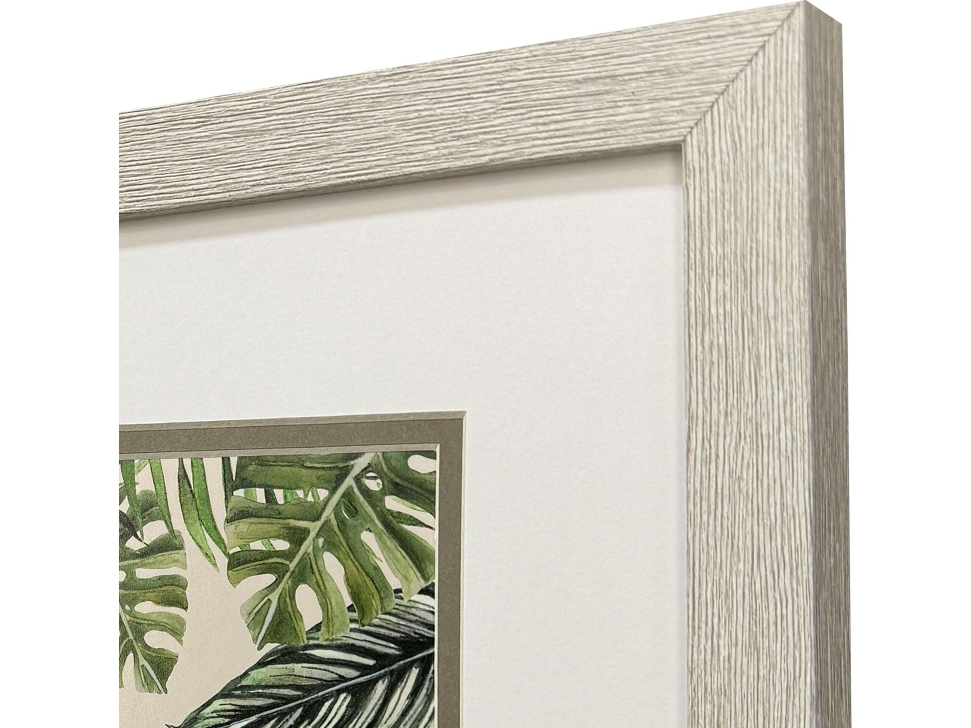 Paragon Jungle Hangout Framed Art - Set of 2