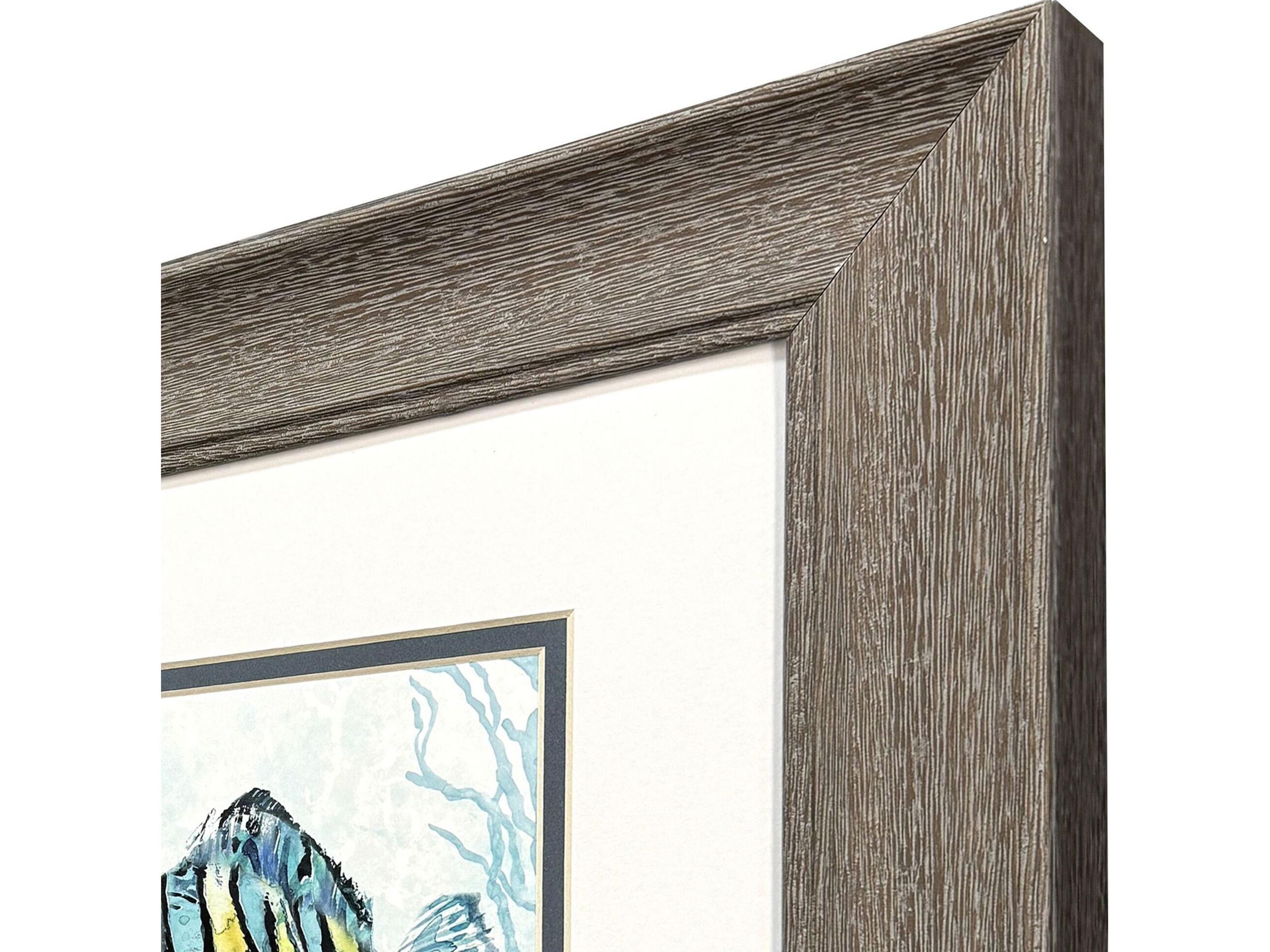 Paragon Striped Tropical Fish Framed Art - Set of 2