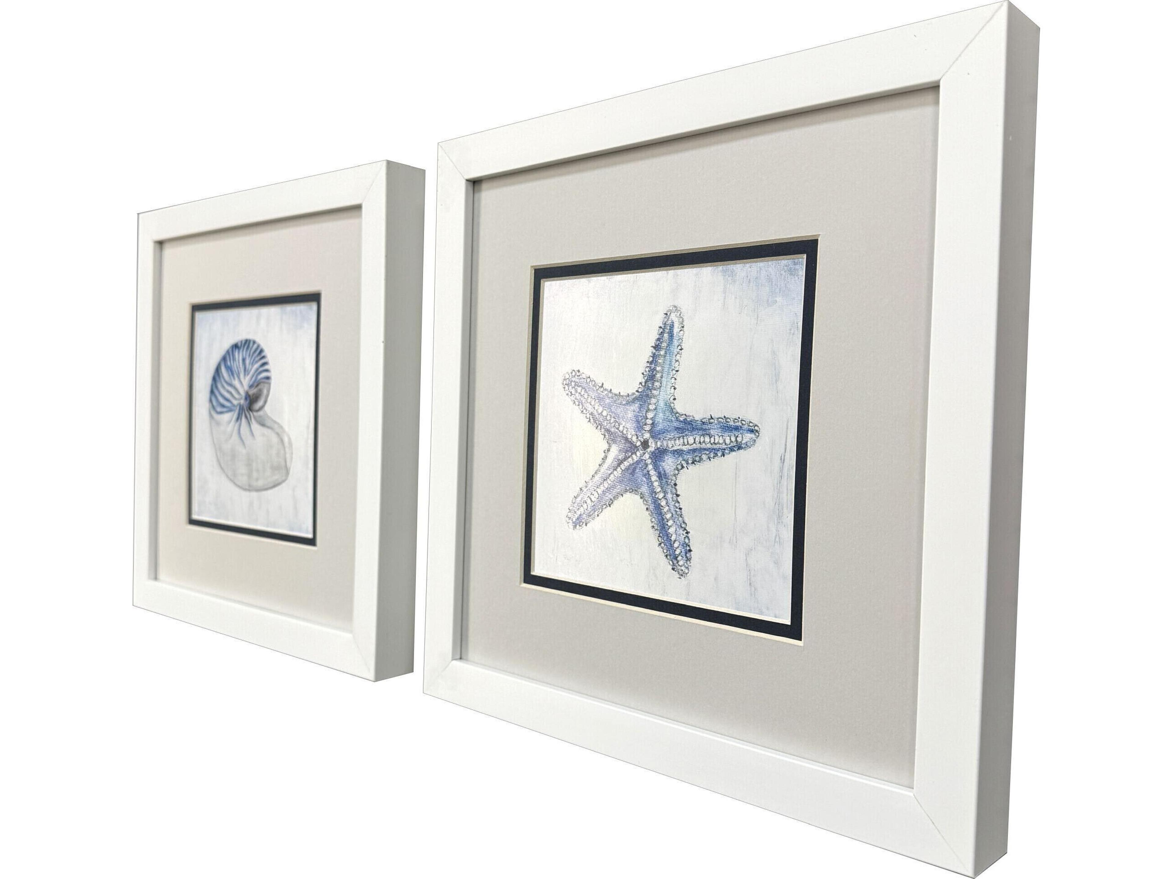 Paragon Azure Shell Framed Art - Set of 2