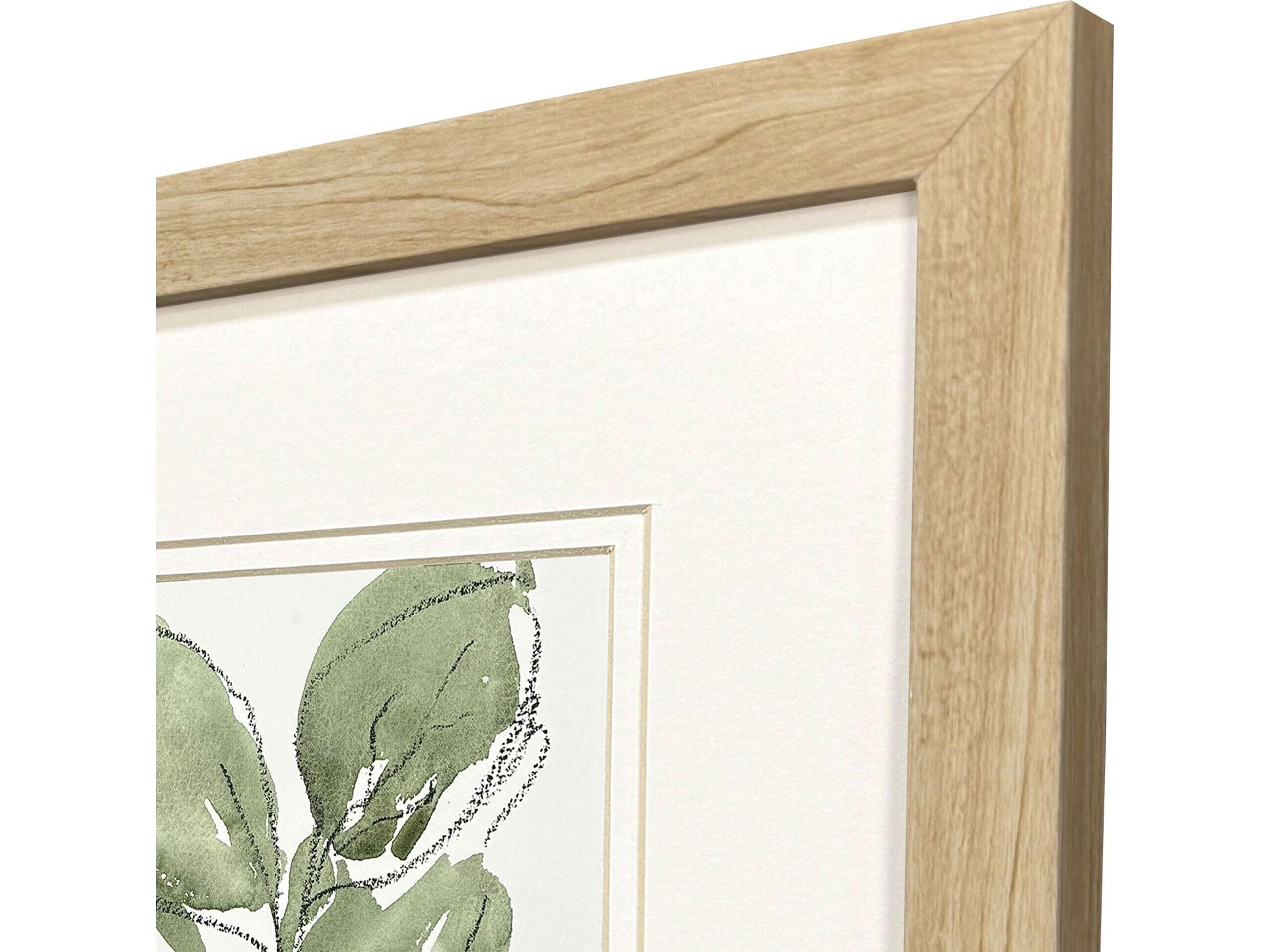 Paragon Summer Leaves Framed Art - Set of 2