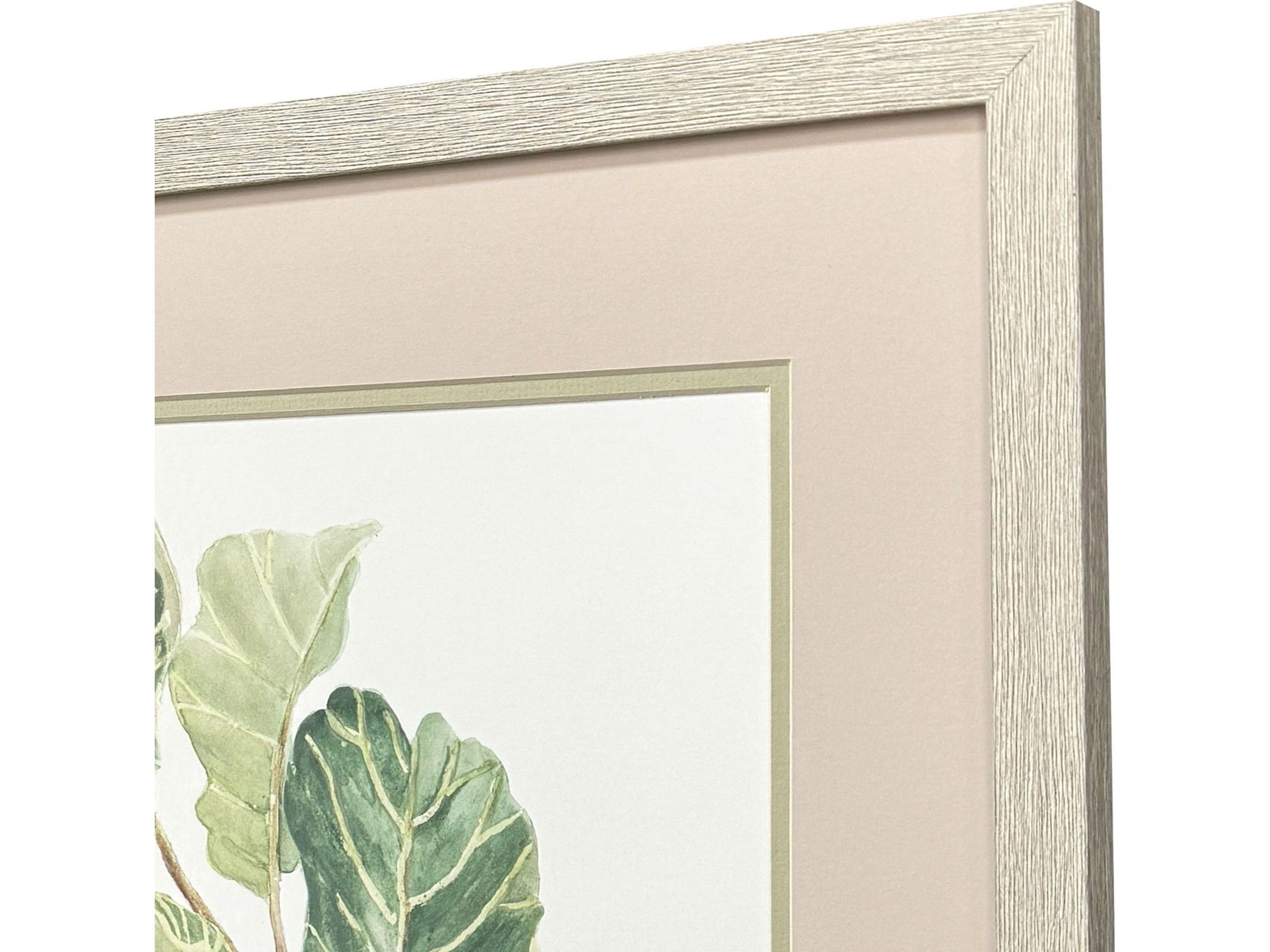 Paragon Fiddle Fig Leaf Framed Art - Set of 2