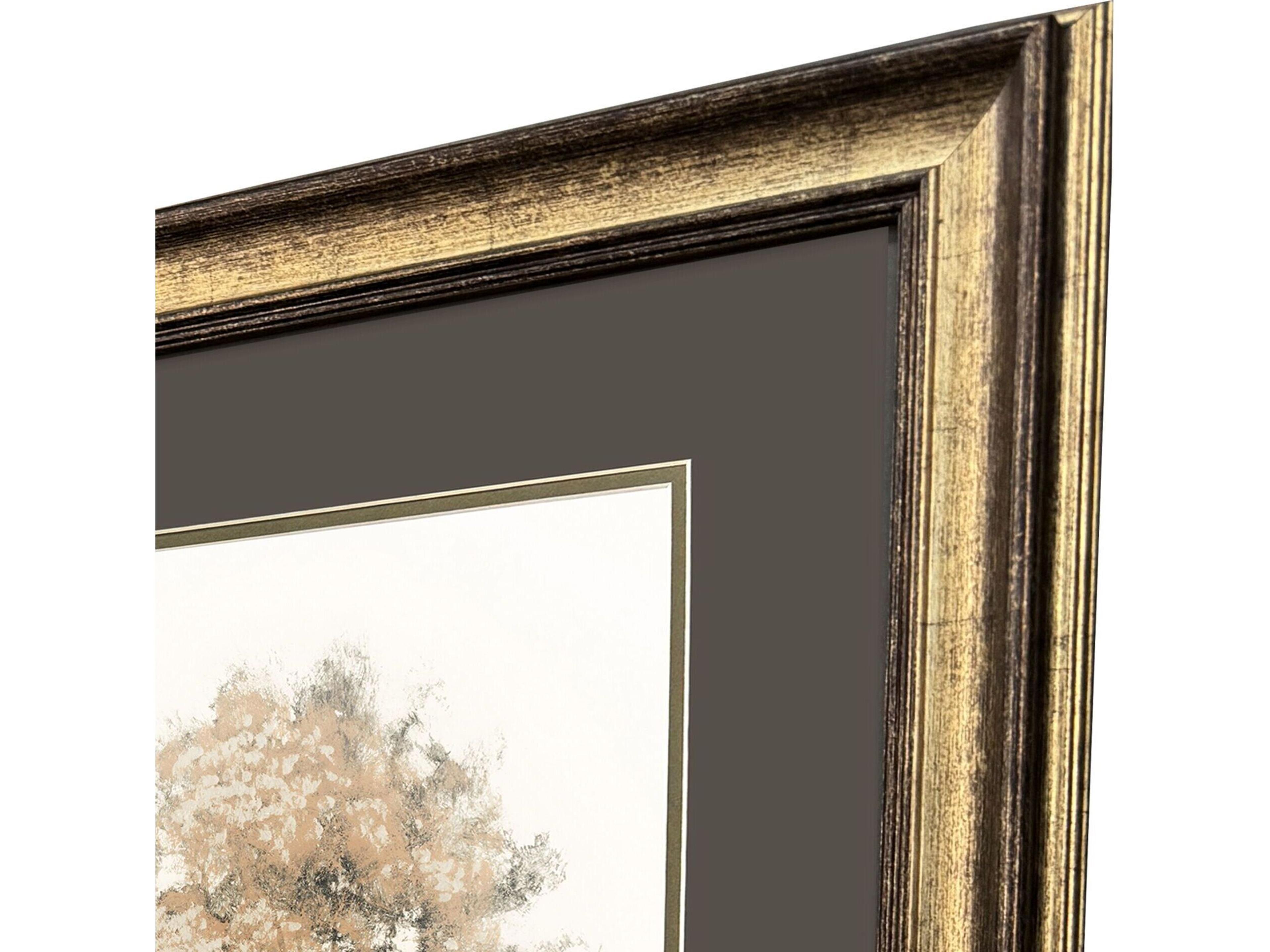 Paragon Way of Nature Framed Art - Set of 2