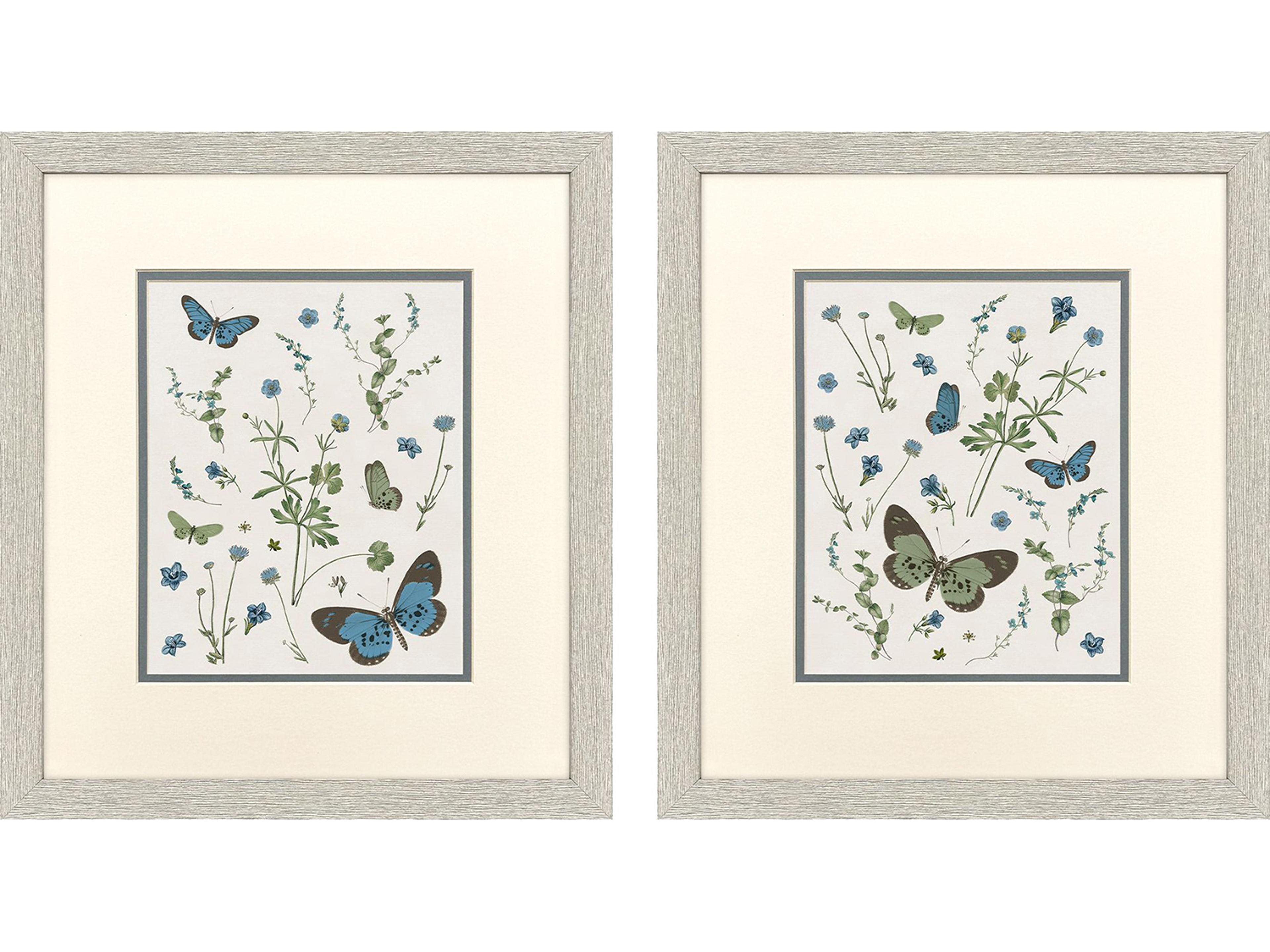 Botanical Page Framed Art - Set of 2