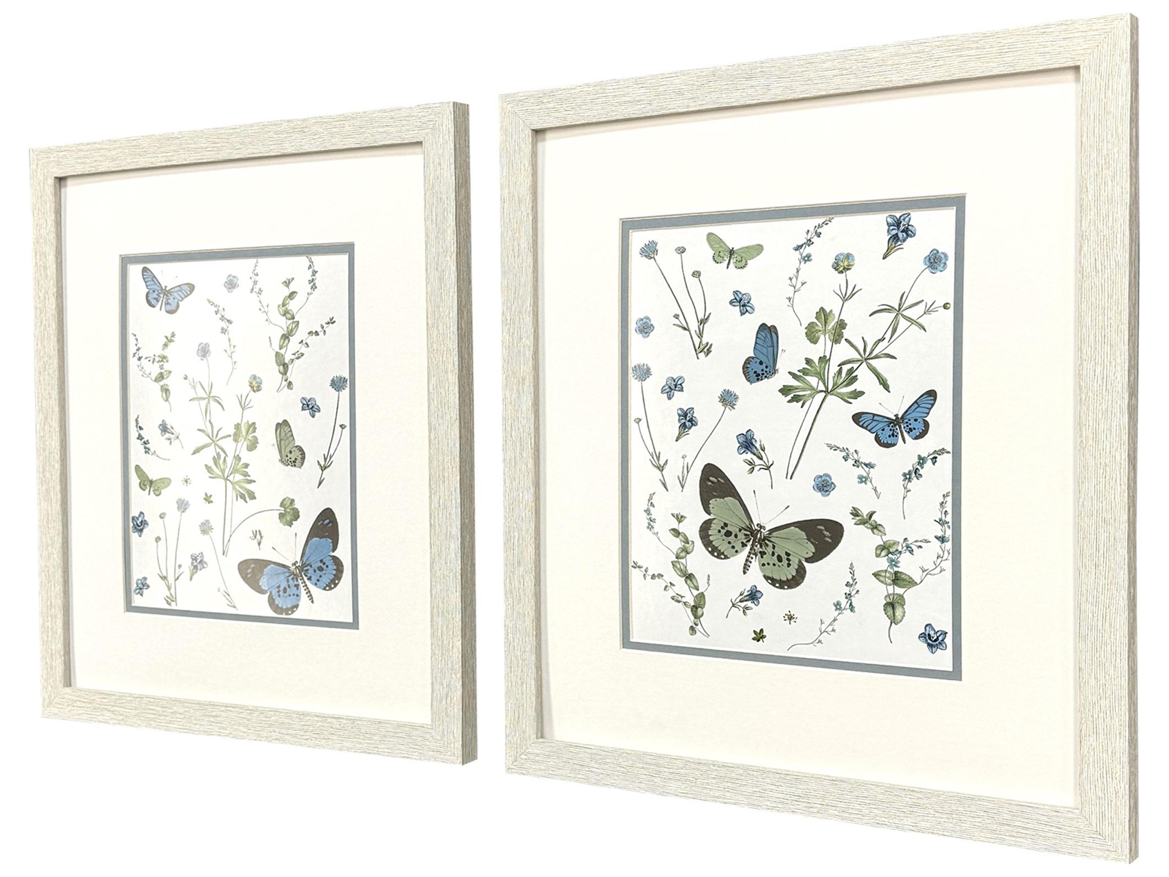Paragon Botanical Page Framed Art - Set of 2