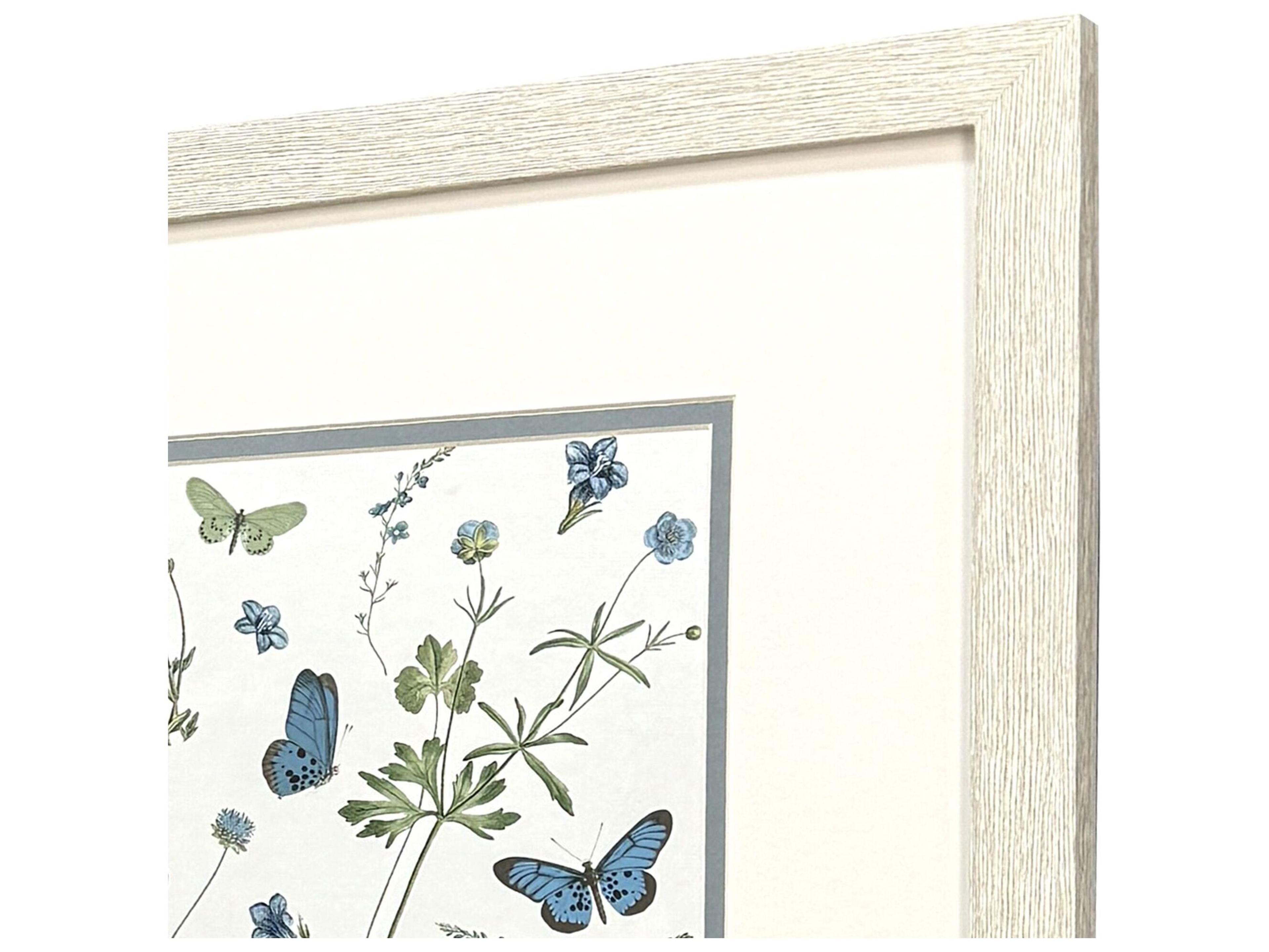 Paragon Botanical Page Framed Art - Set of 2