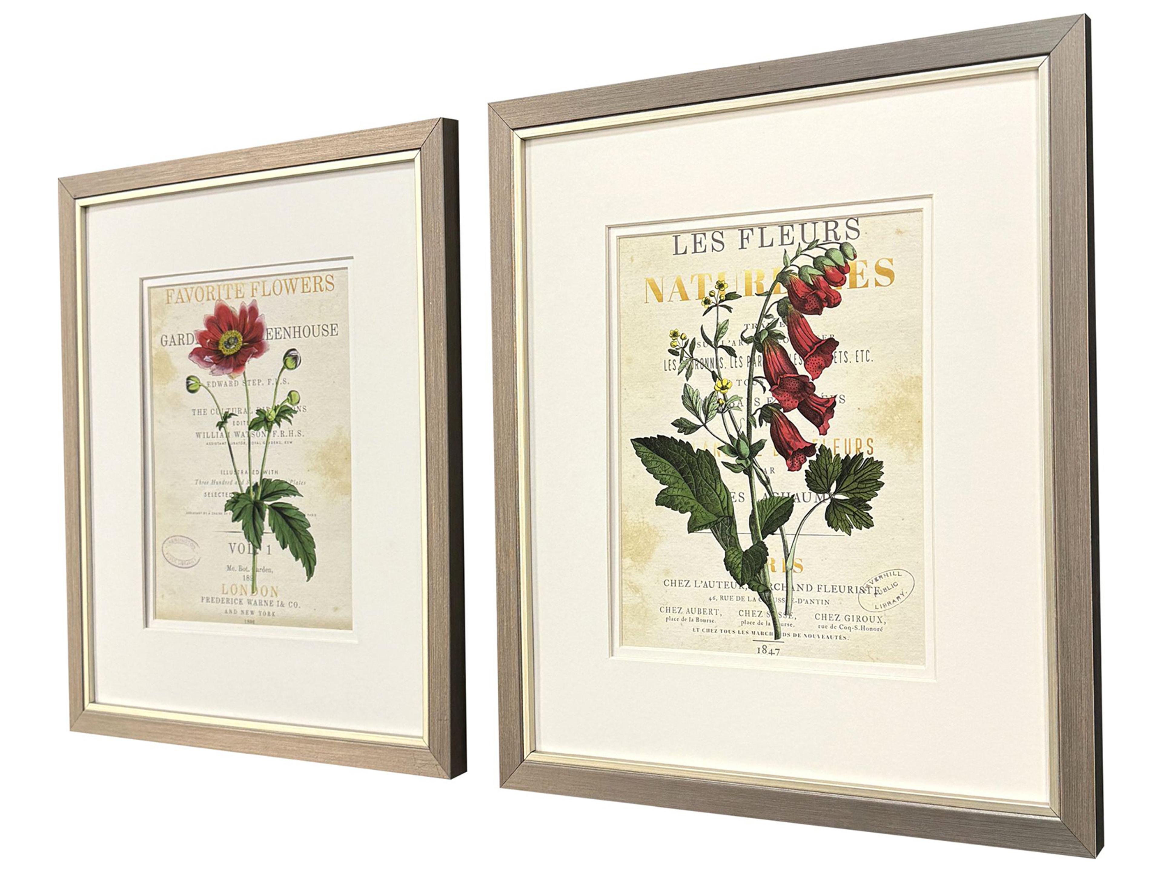 Paragon Favorite Flowers I Framed Art - Set of 2