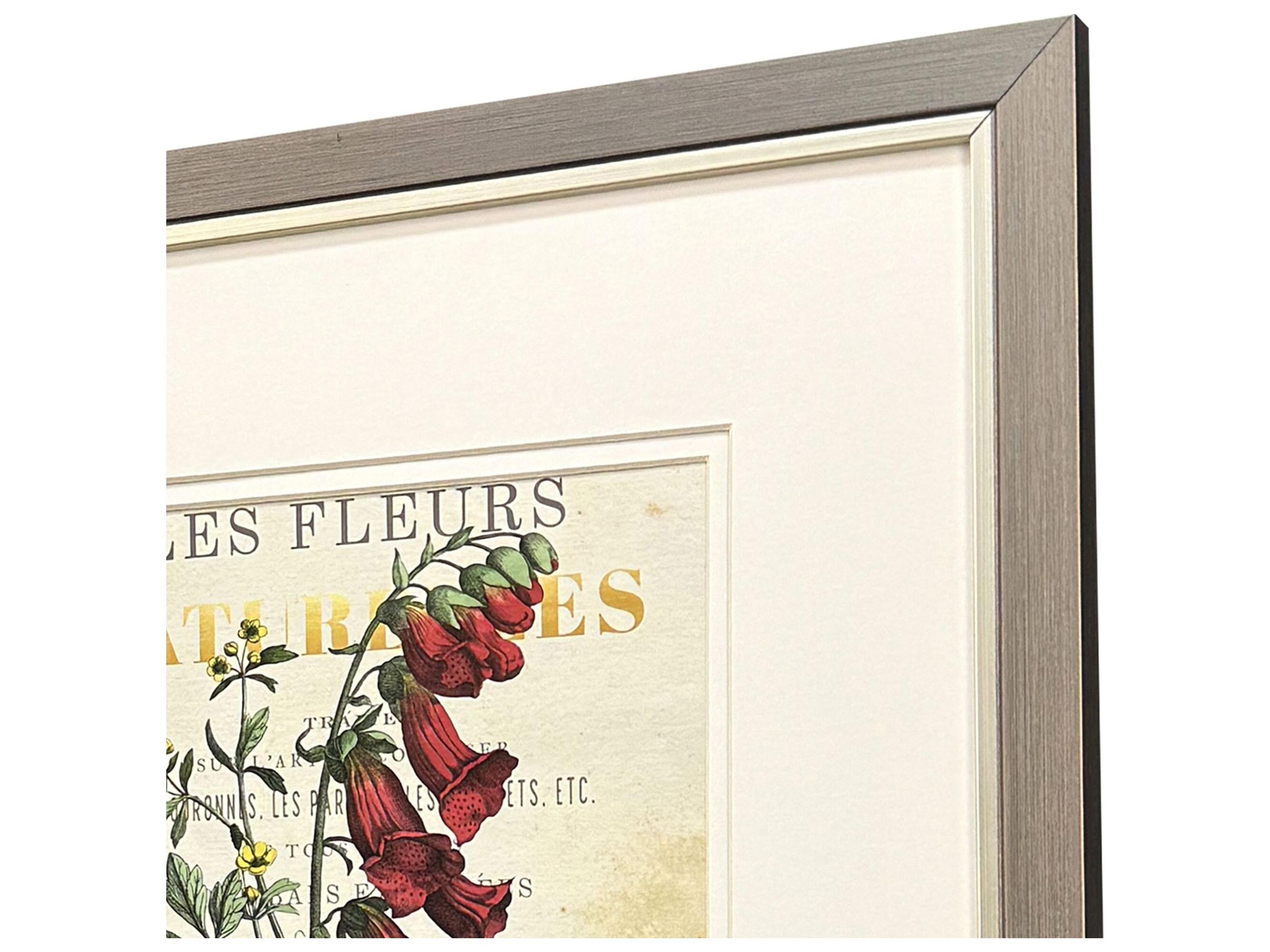 Paragon Favorite Flowers I Framed Art - Set of 2