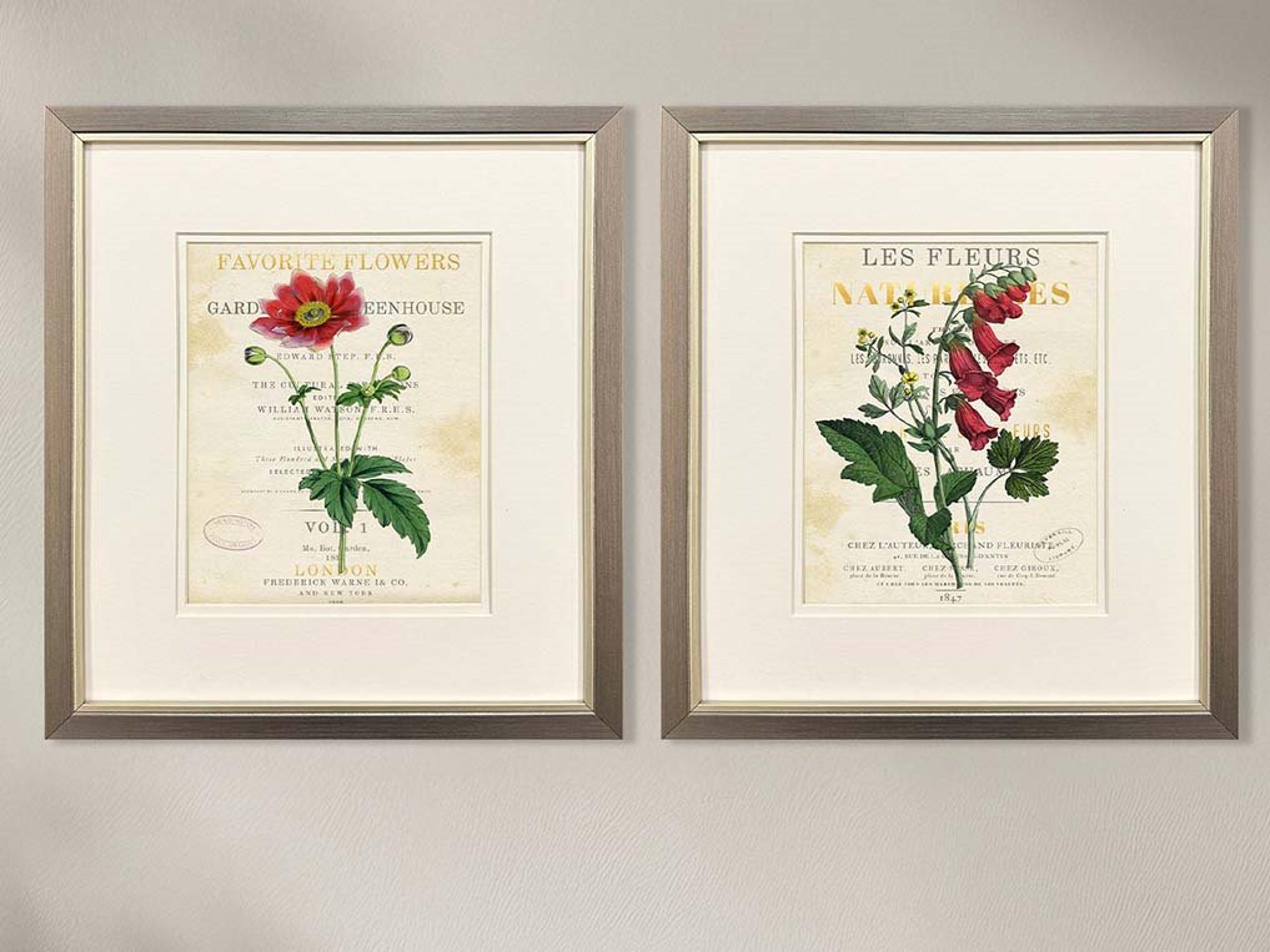 Paragon Favorite Flowers I Framed Art - Set of 2
