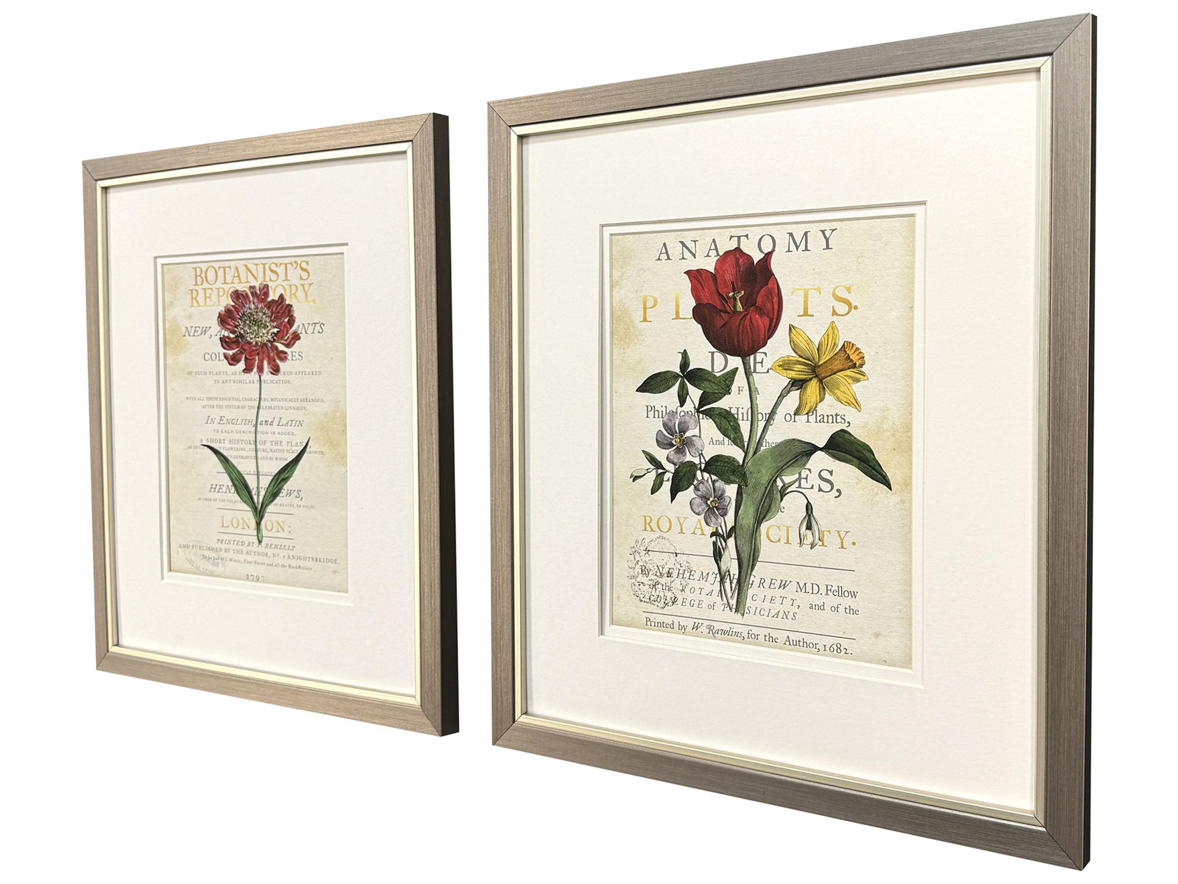 Paragon Favorite Flowers II Framed Art - Set of 2