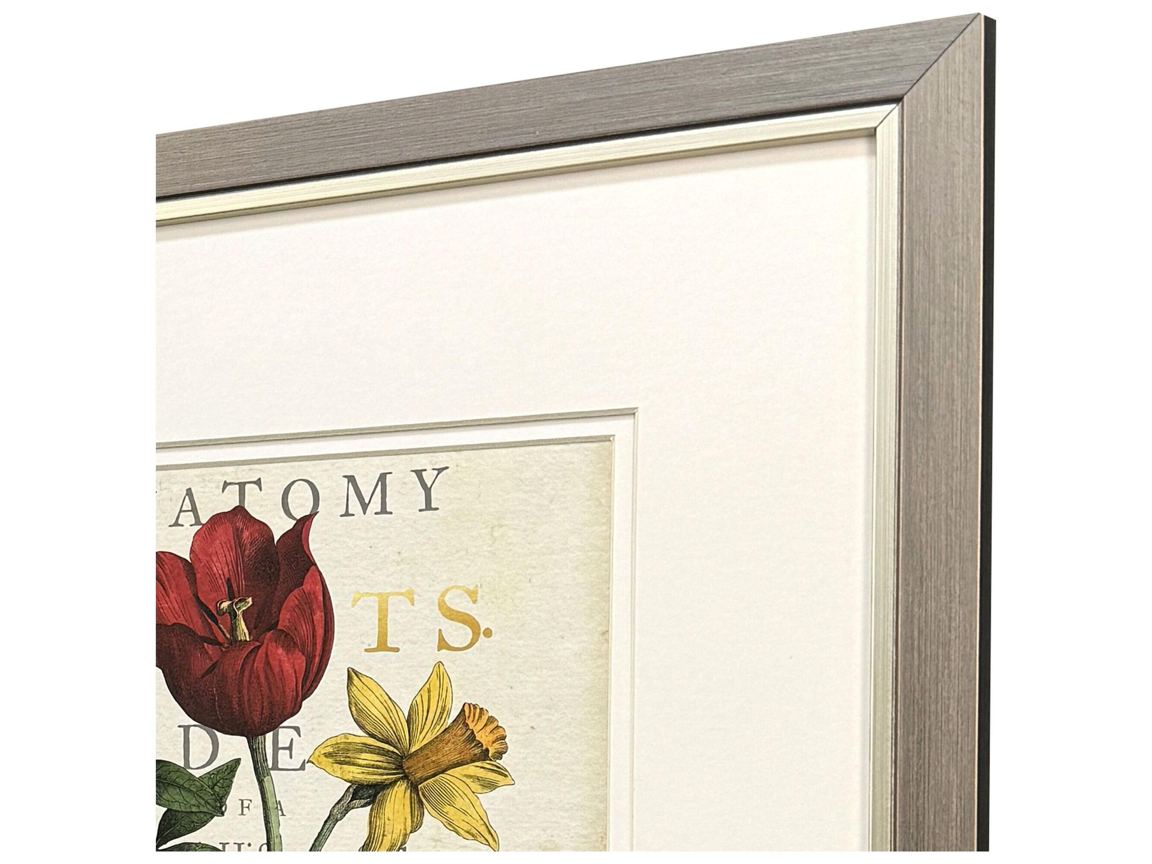 Paragon Favorite Flowers II Framed Art - Set of 2