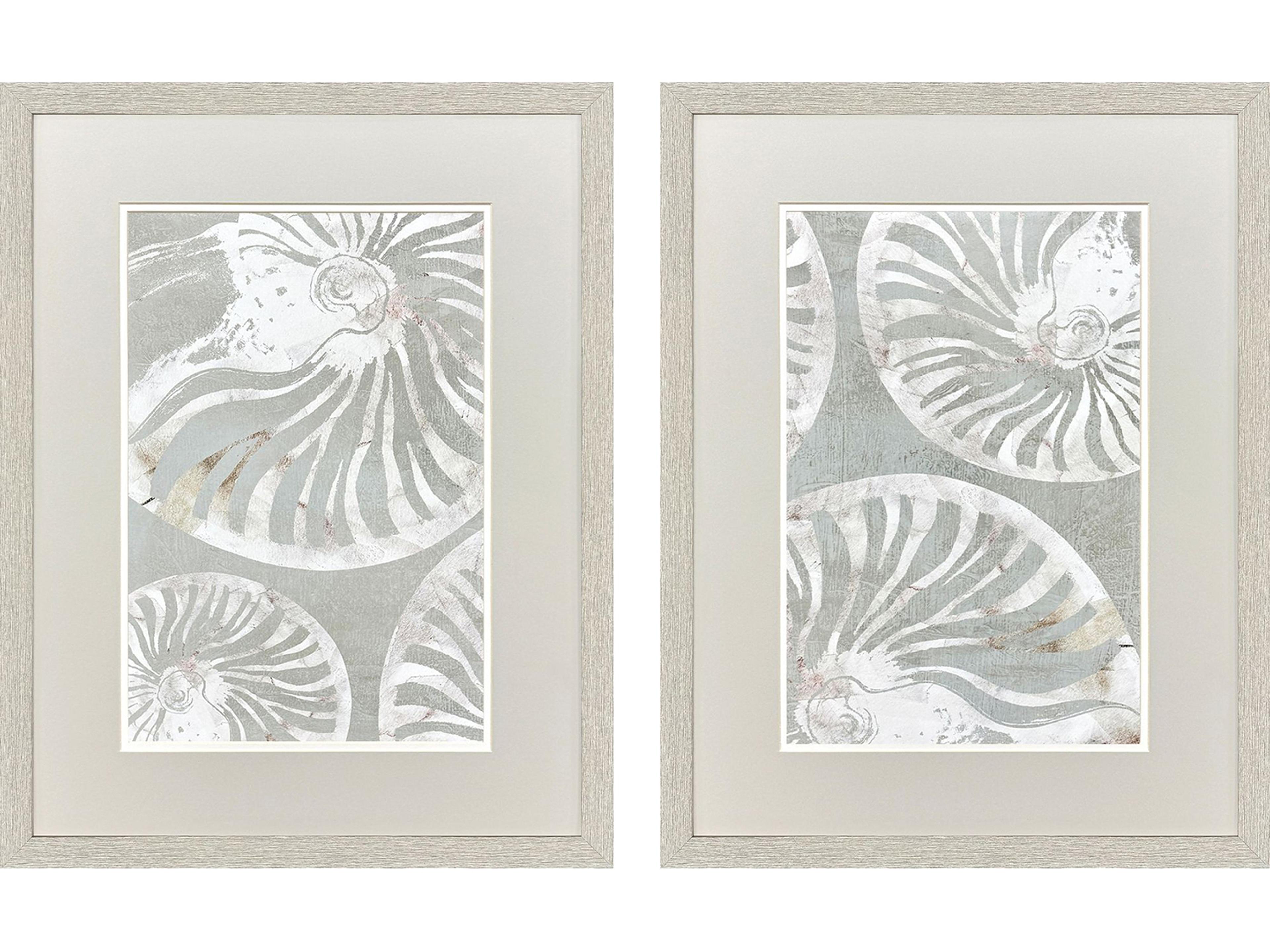 Paragon Nautilus Shell Framed Art - Set of 2