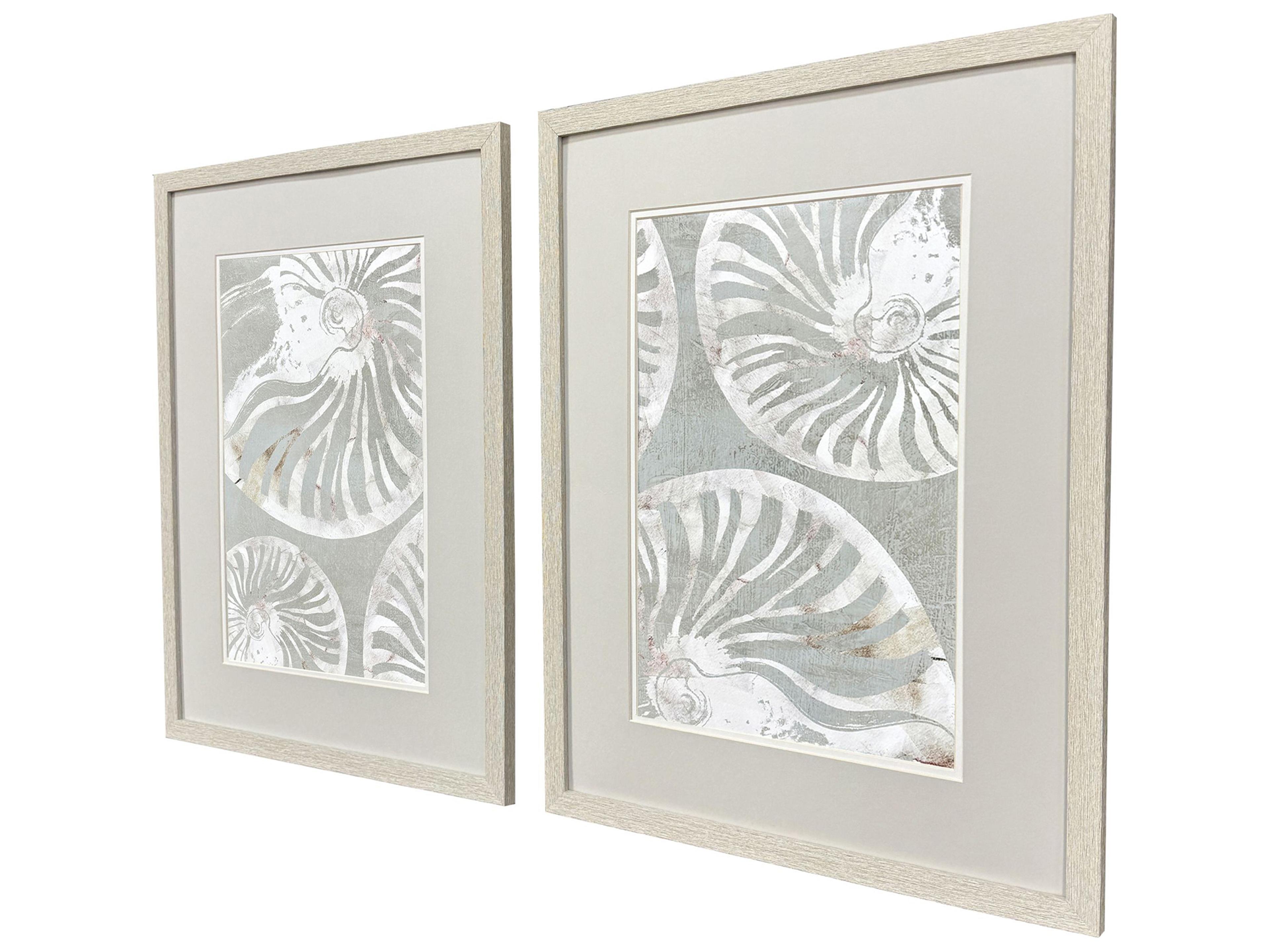 Paragon Nautilus Shell Framed Art - Set of 2