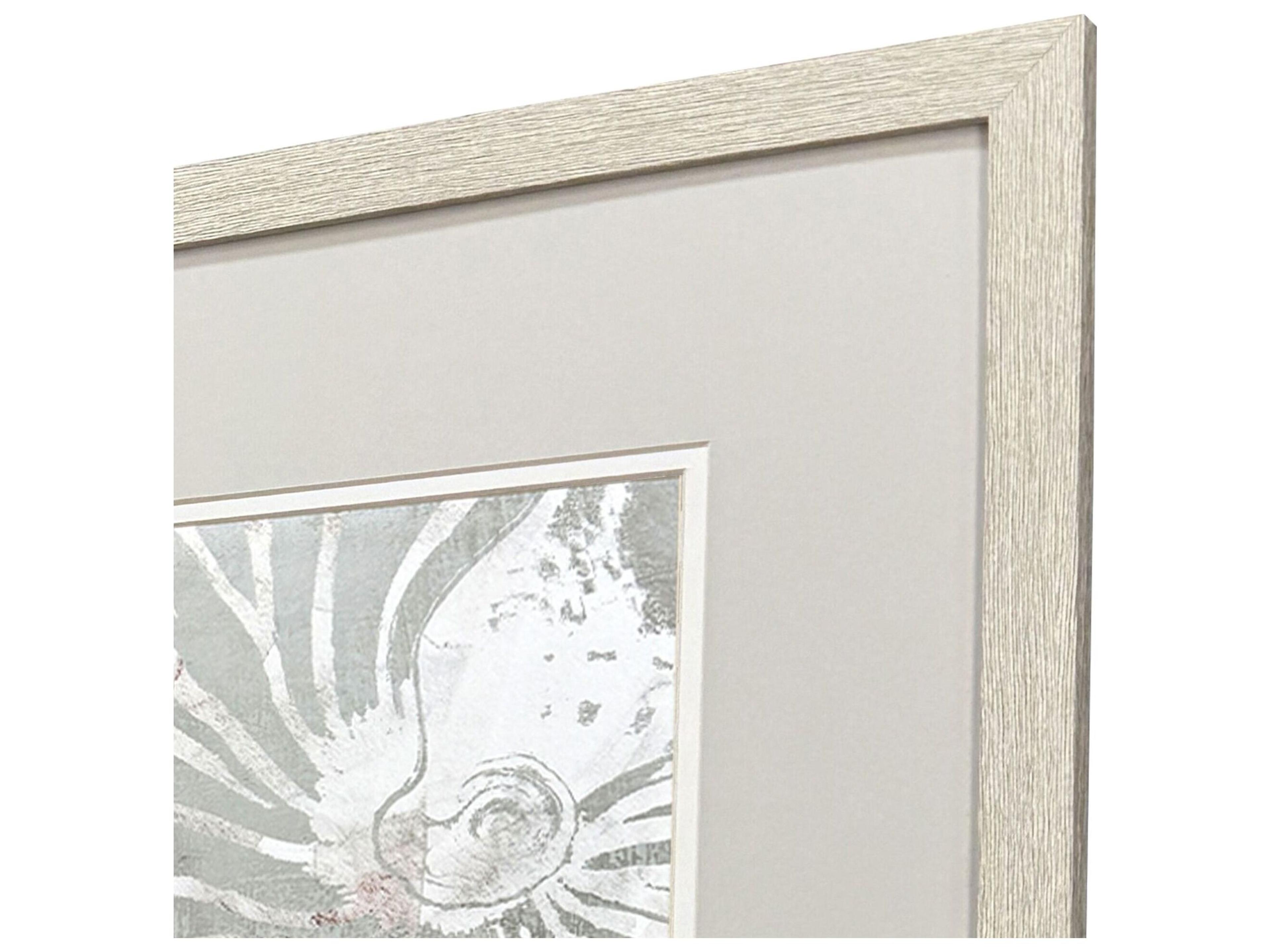 Paragon Nautilus Shell Framed Art - Set of 2