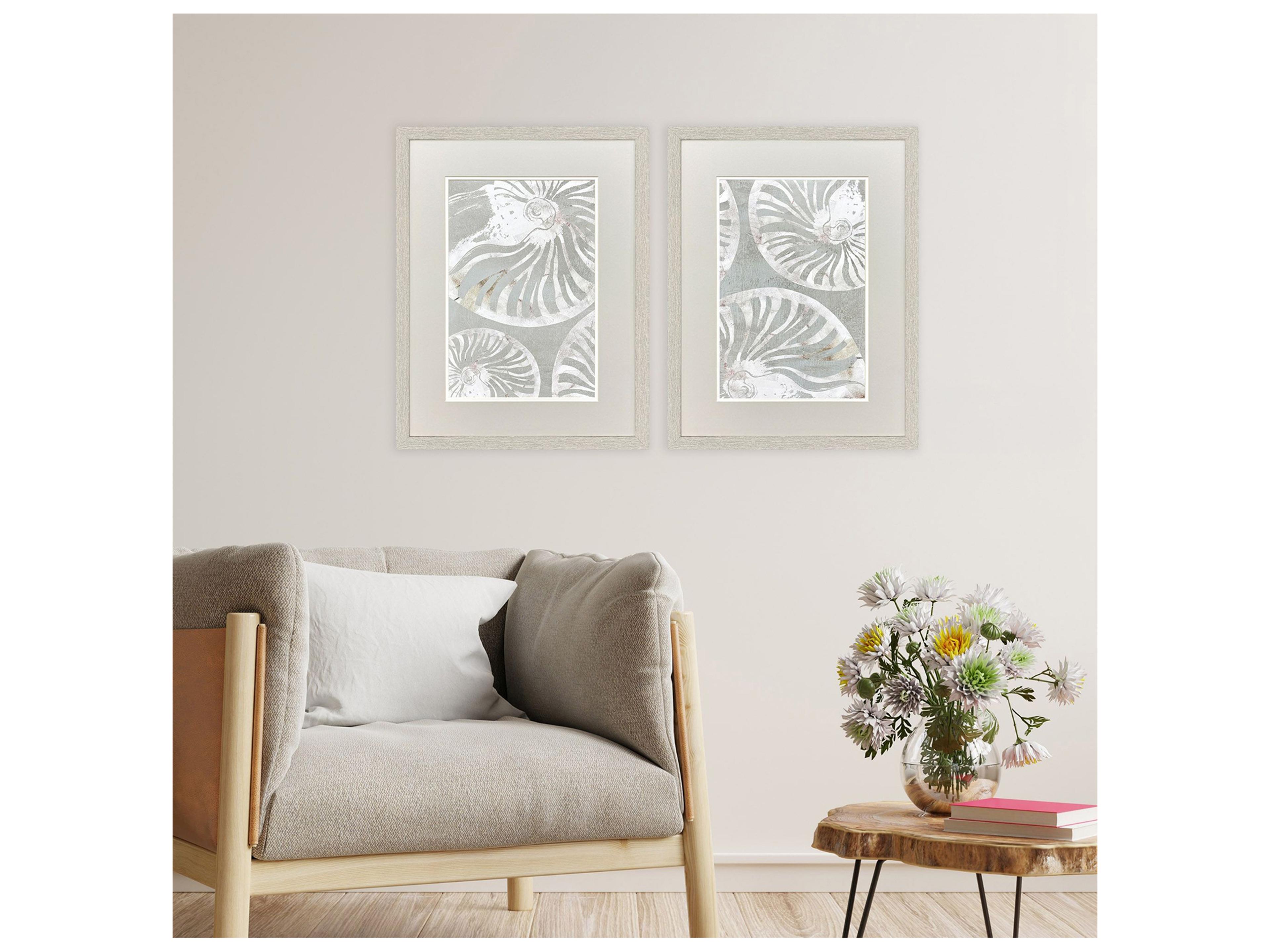 Paragon Nautilus Shell Framed Art - Set of 2