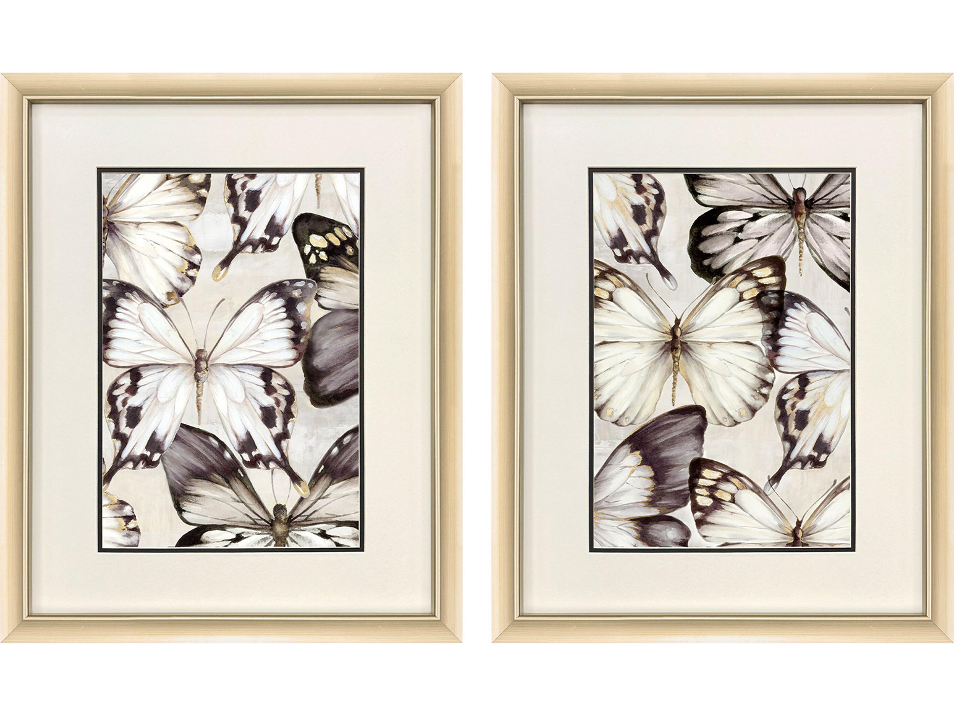 Paragon Butterfly Cluster Framed Art - Set of 2