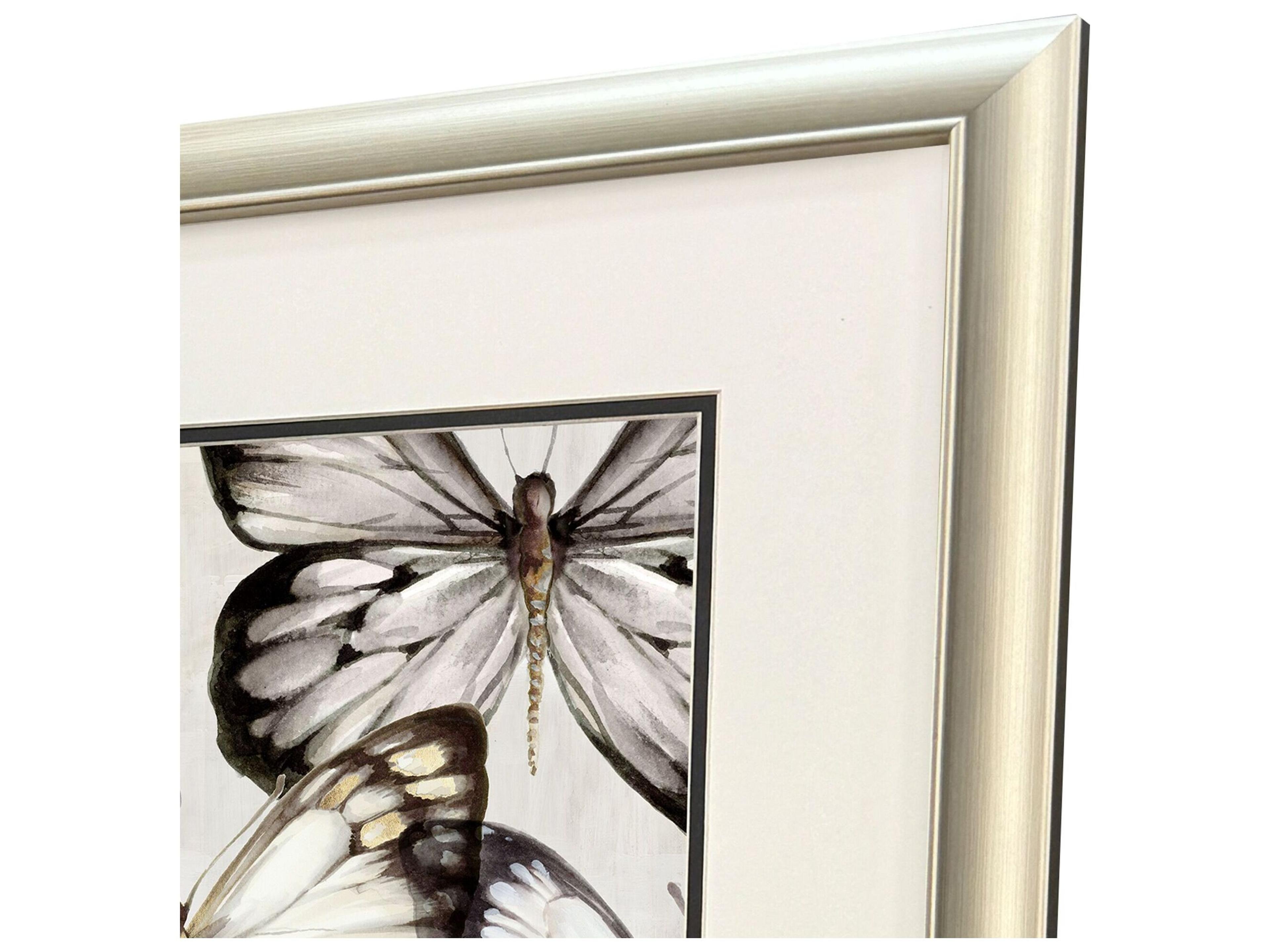 Paragon Butterfly Cluster Framed Art - Set of 2