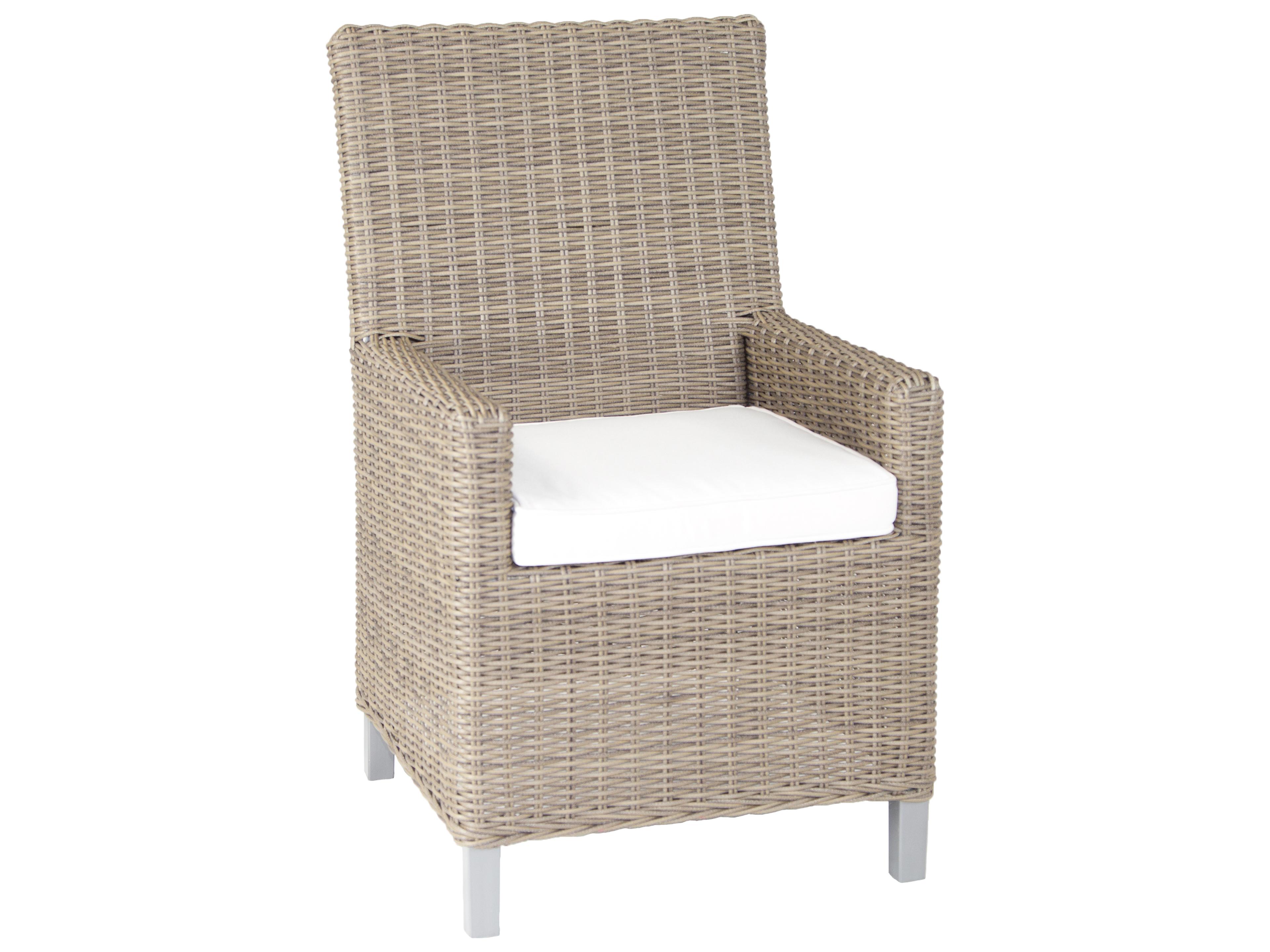 Axcess Inc. Palisades Patio Dining Arm Chair