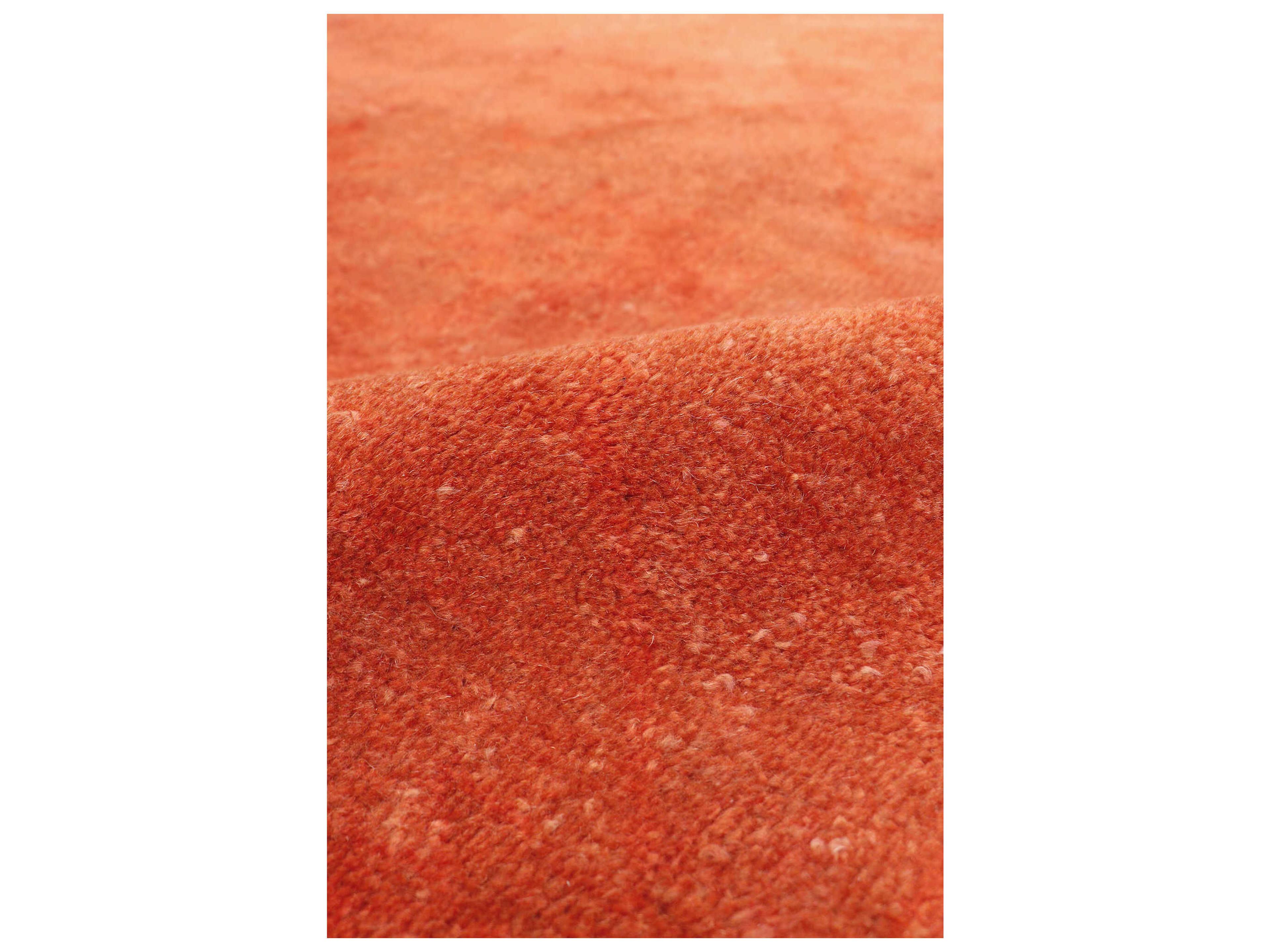 Pasargad Home Lahore Bordered Area Rug