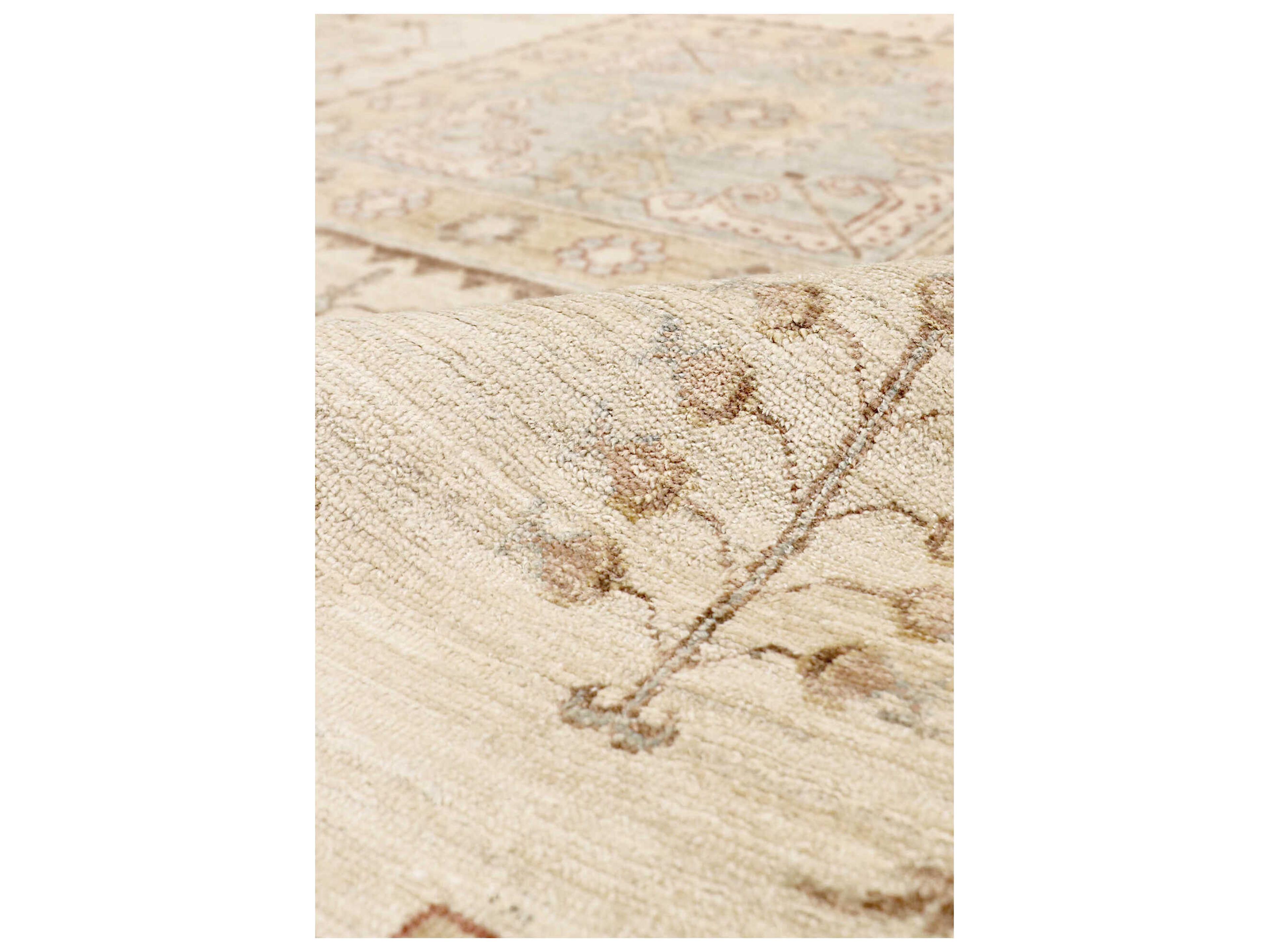 Pasargad Home Azerbaijan Bordered Area Rug