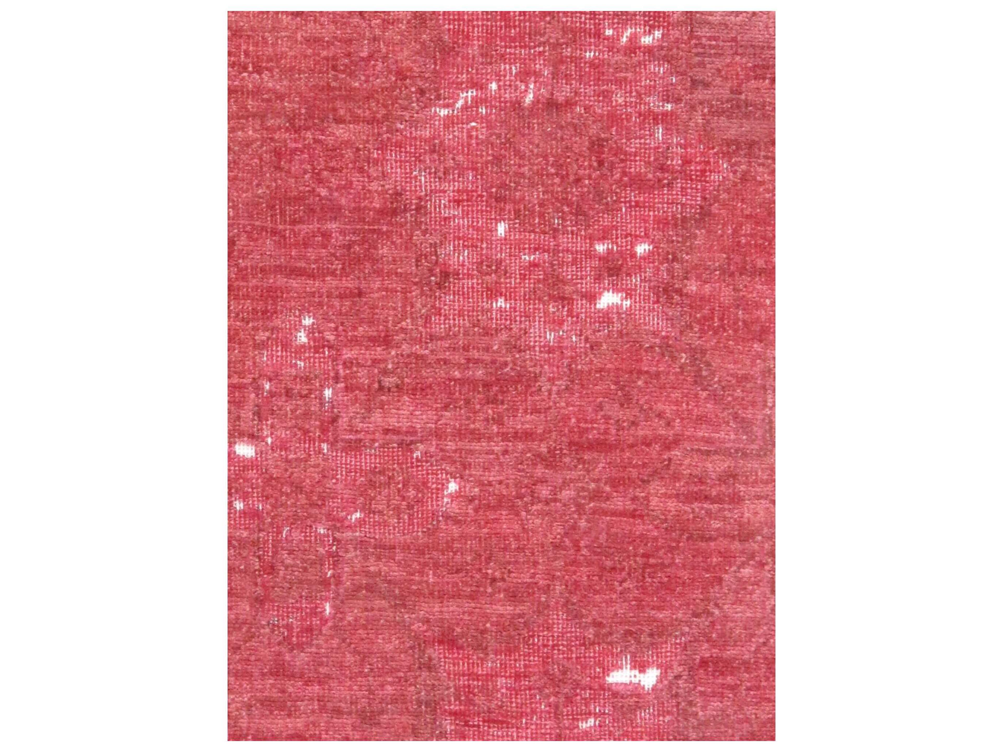 Pasargad Home Lahore Bordered Area Rug