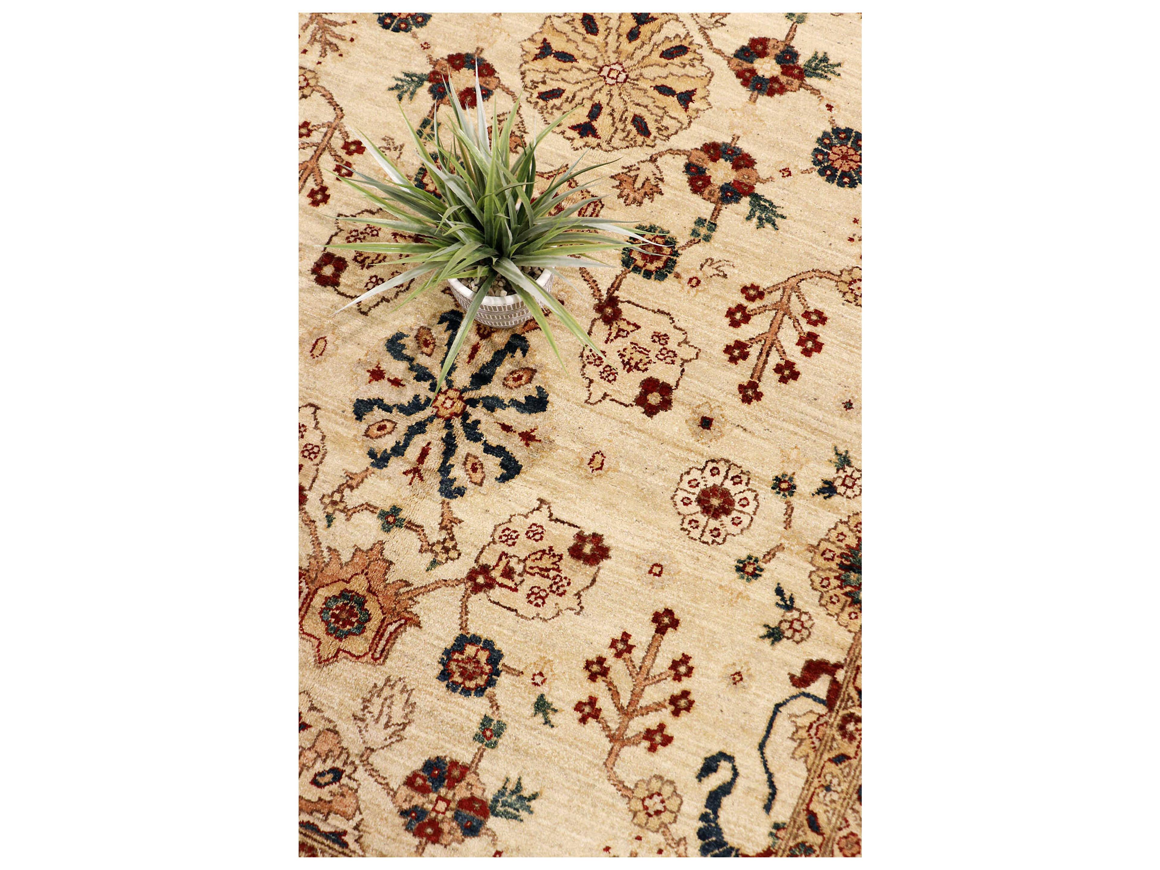 Pasargad Home Nomad Art Melody Bordered Area Rug