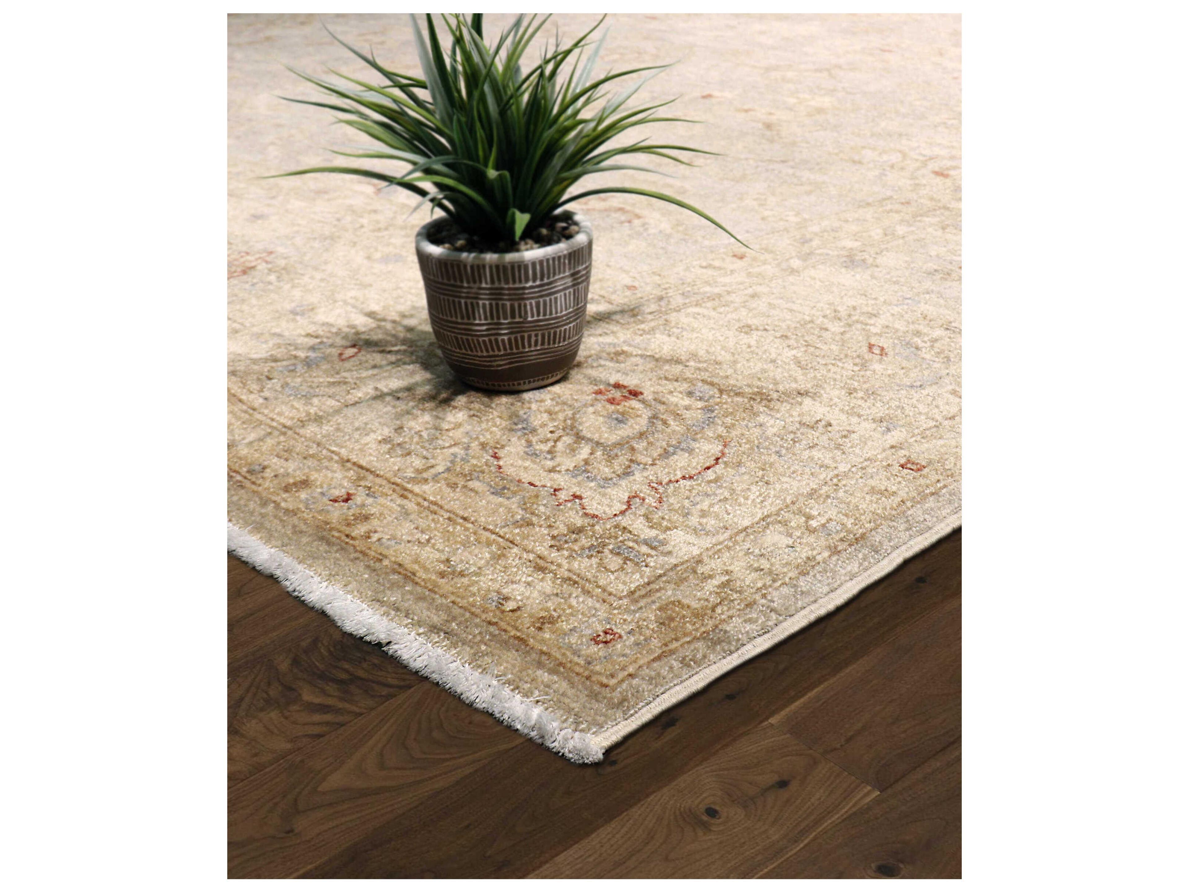 Pasargad Home Denver Bordered Area Rug
