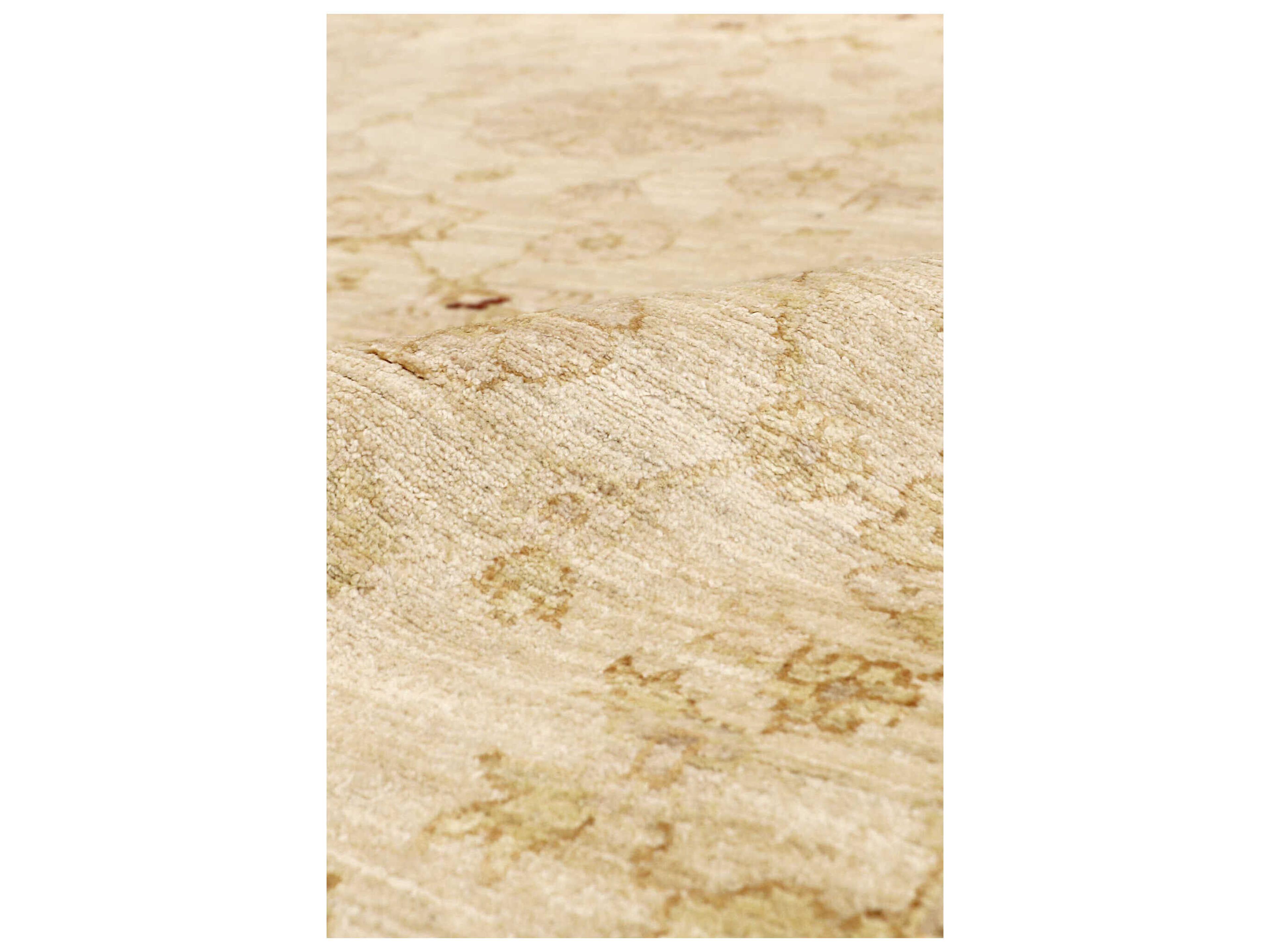 Pasargad Home Azerbaijan Bordered Area Rug