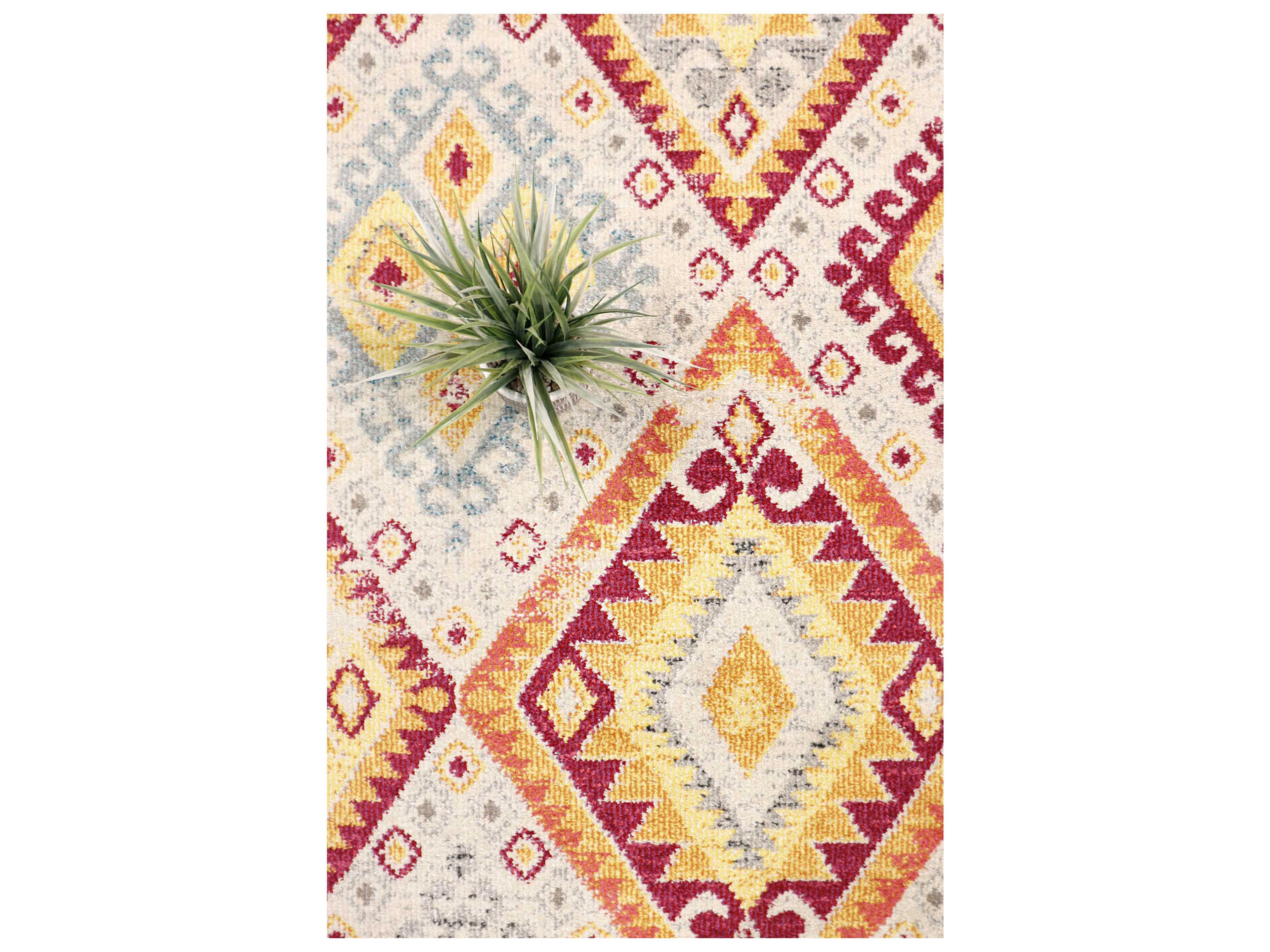 Pasargad Home Aldora Bordered Area Rug