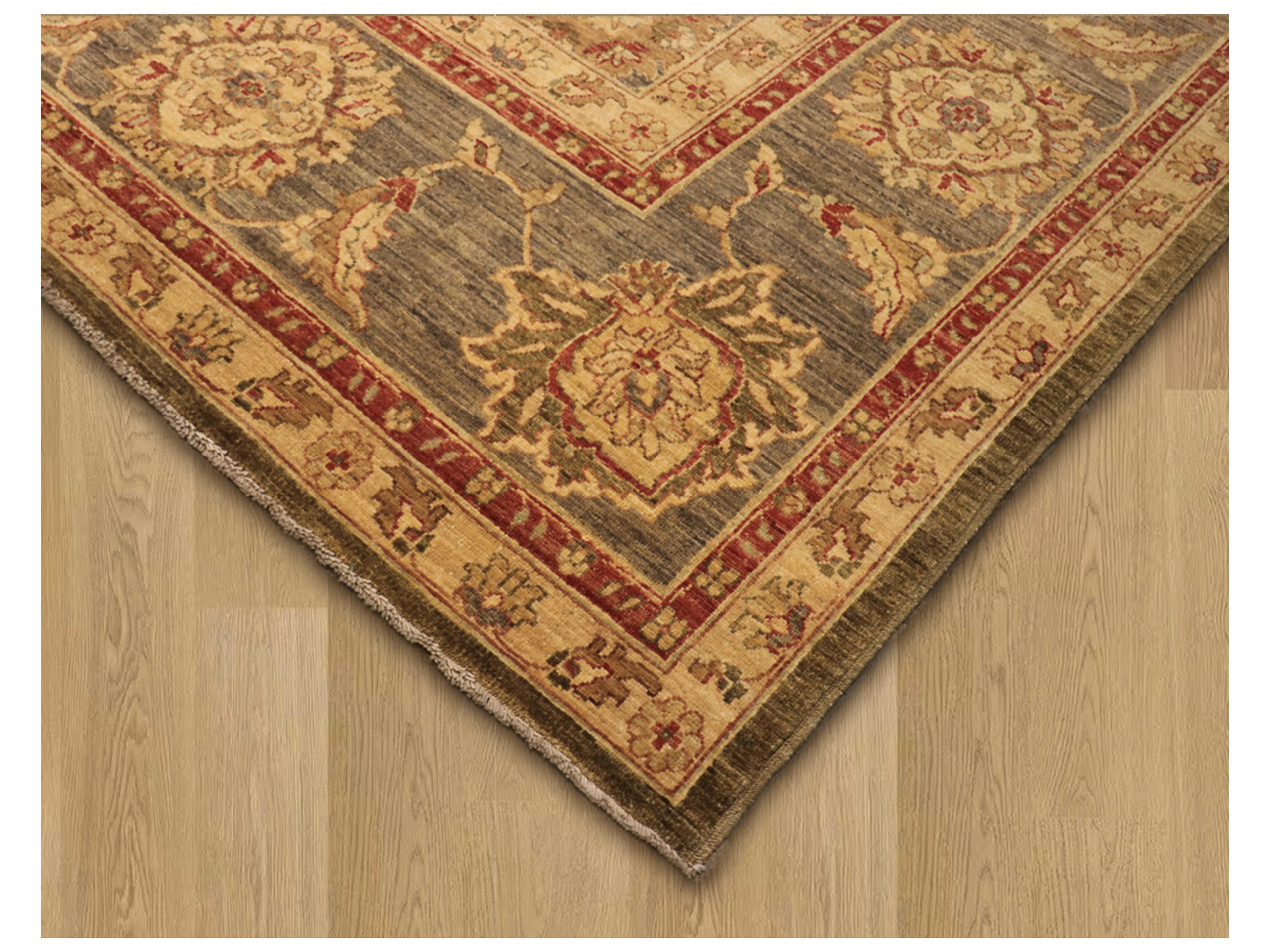 Pasargad Home Denver Bordered Area Rug