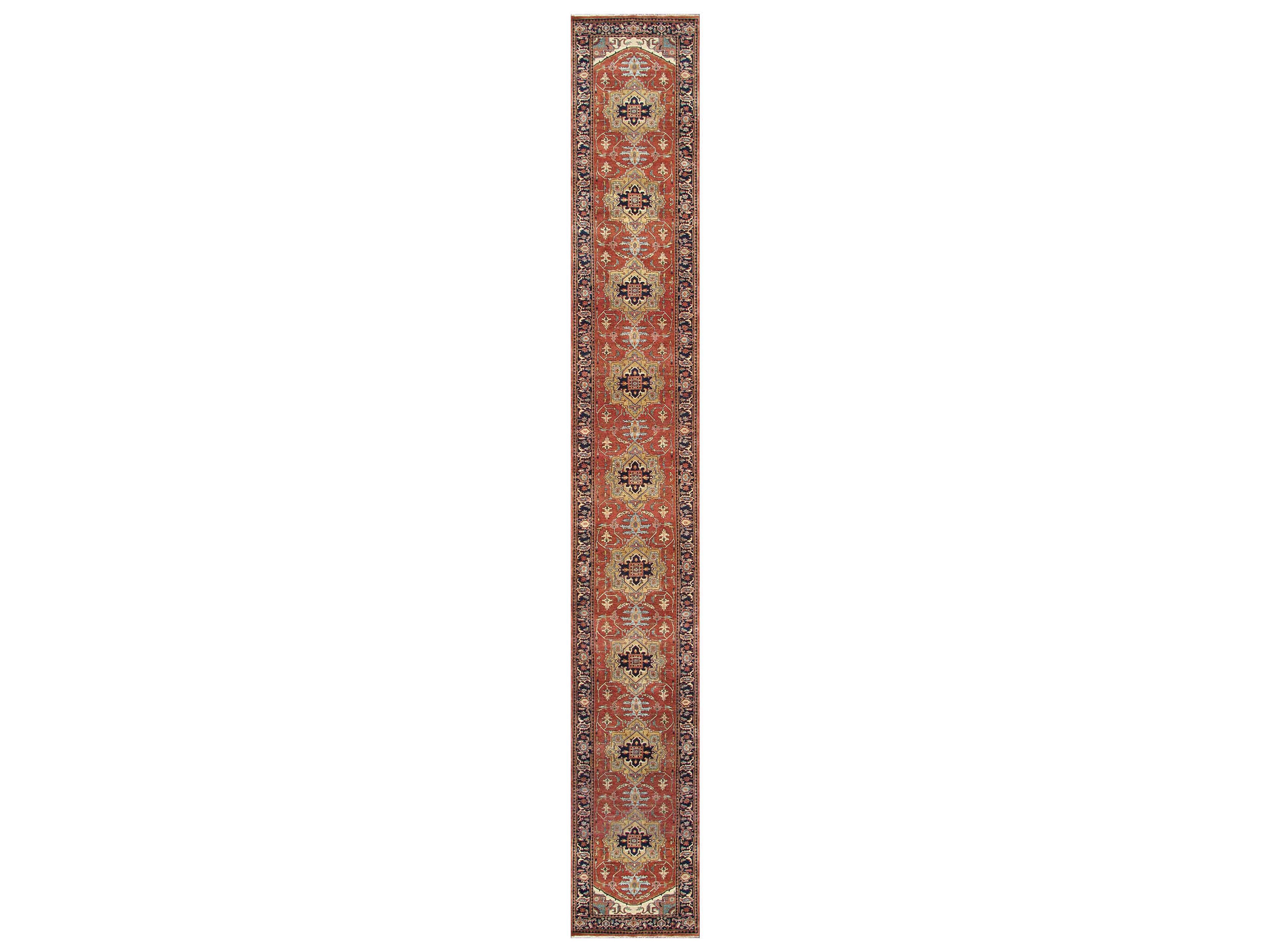 Serapi Bordered Runner Area Rug