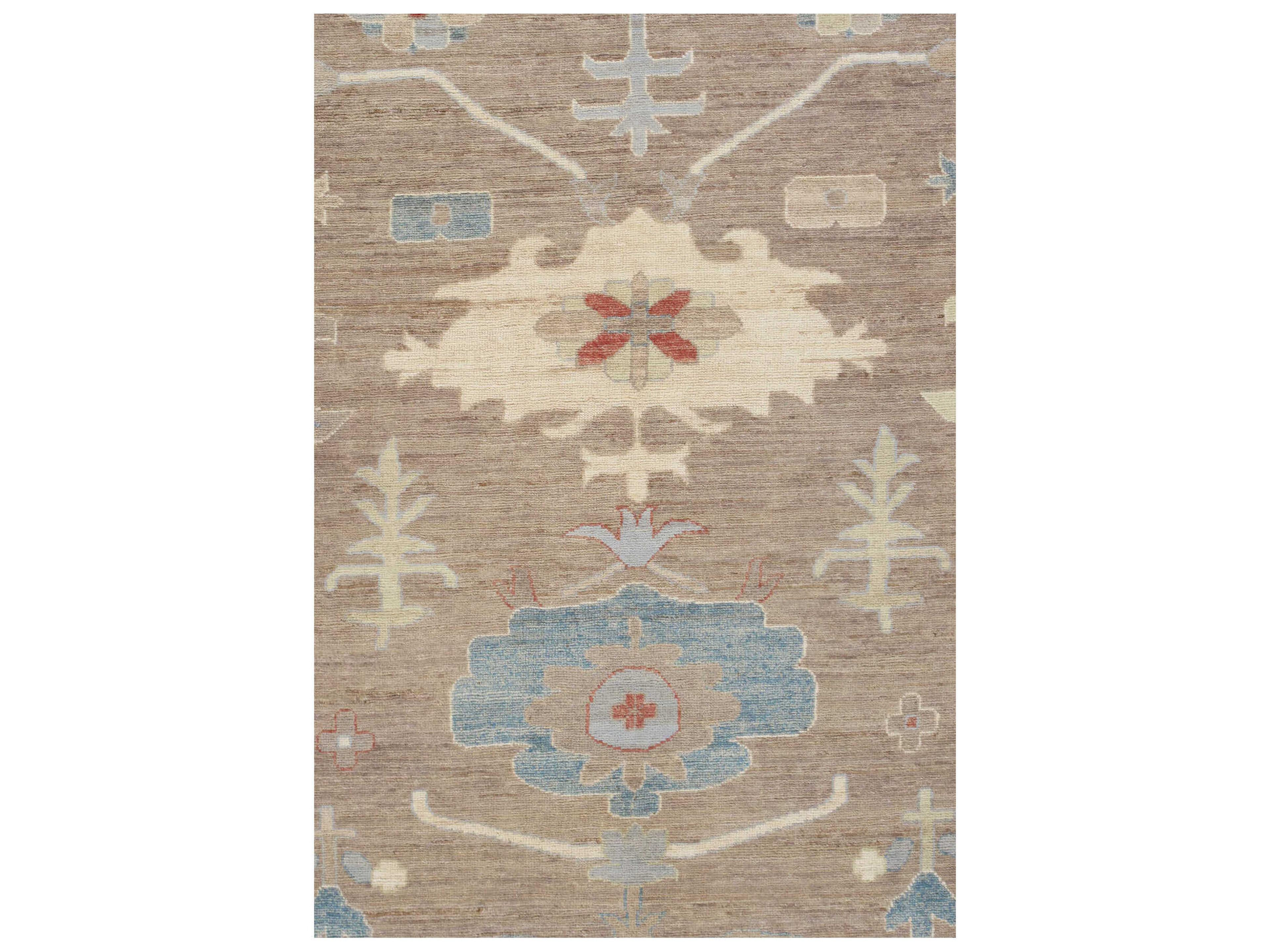 Pasargad Home Melody Bordered Area Rug