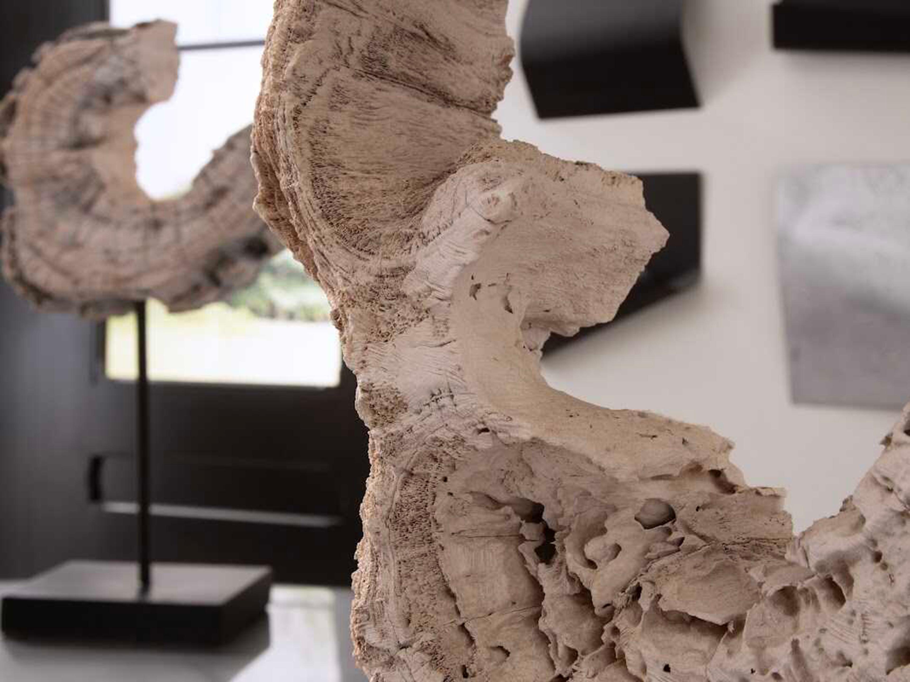 Phillips Collection Eroded Wood Block on Stand